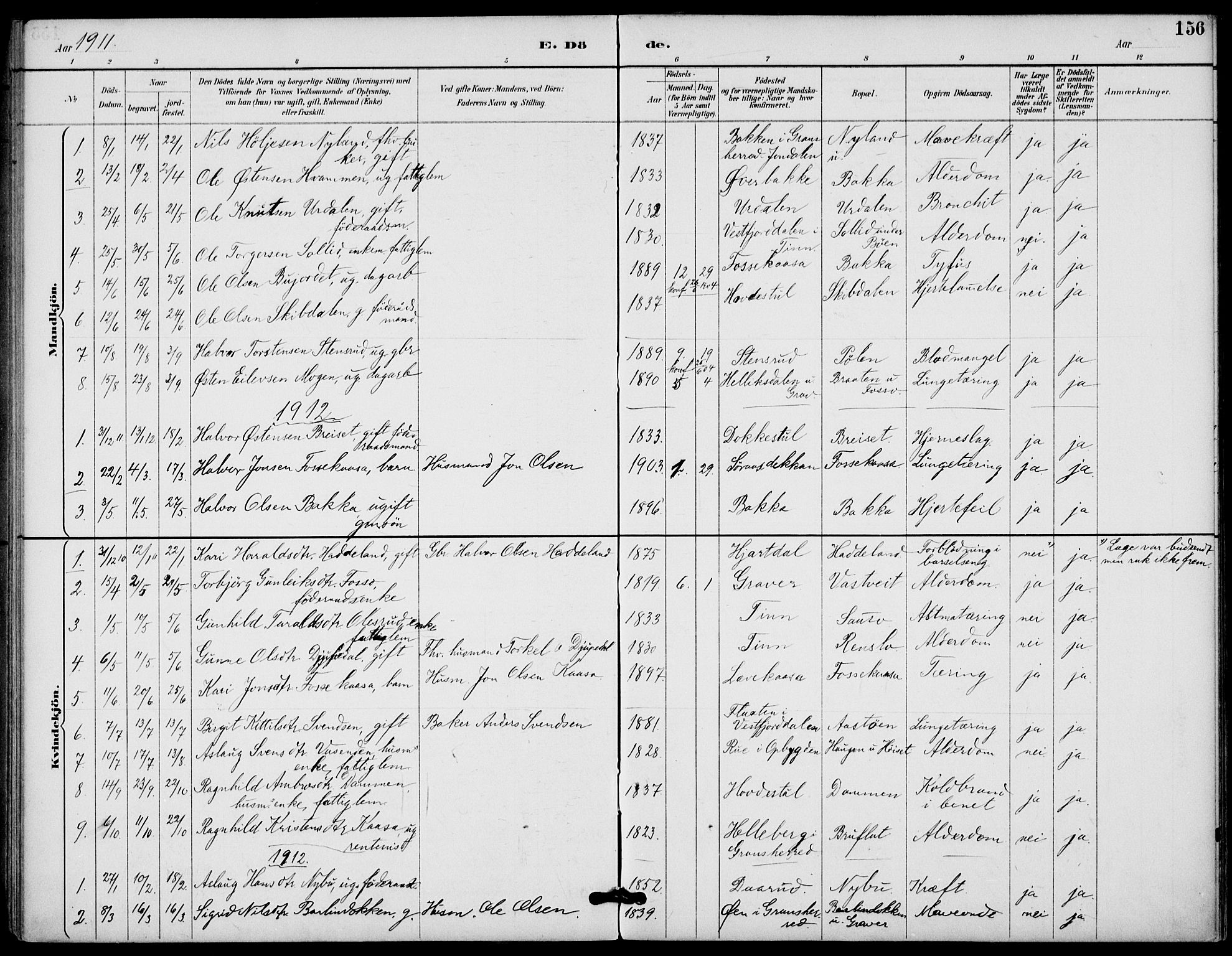 Gransherad kirkebøker, SAKO/A-267/F/Fb/L0005: Parish register (official) no. II 5, 1887-1916, p. 156