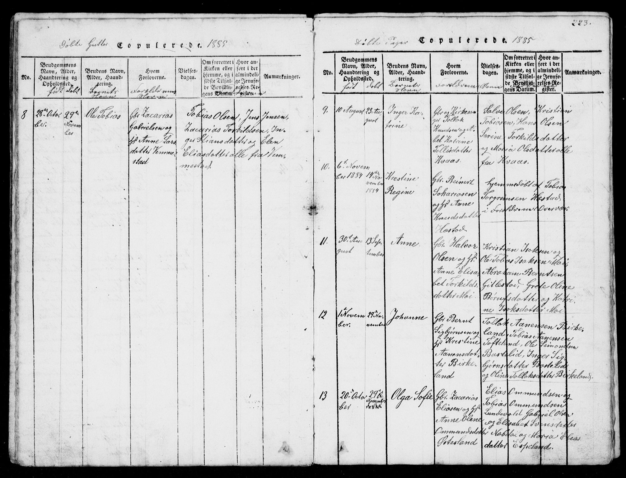 Lyngdal sokneprestkontor, AV/SAK-1111-0029/F/Fb/Fbb/L0001: Parish register (copy) no. B 1, 1816-1900, p. 223