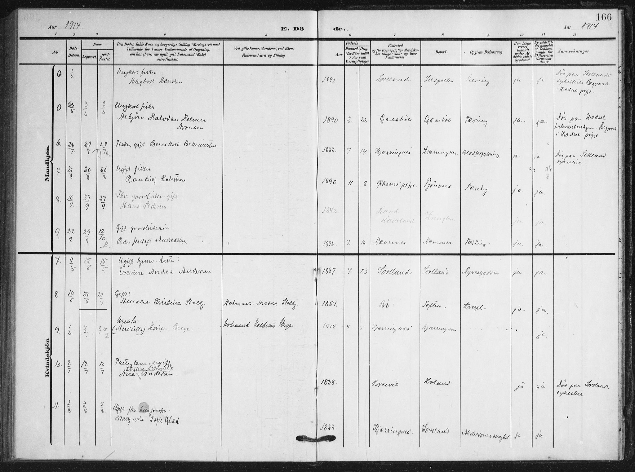 Ministerialprotokoller, klokkerbøker og fødselsregistre - Nordland, AV/SAT-A-1459/895/L1373: Parish register (official) no. 895A08, 1905-1915, p. 166