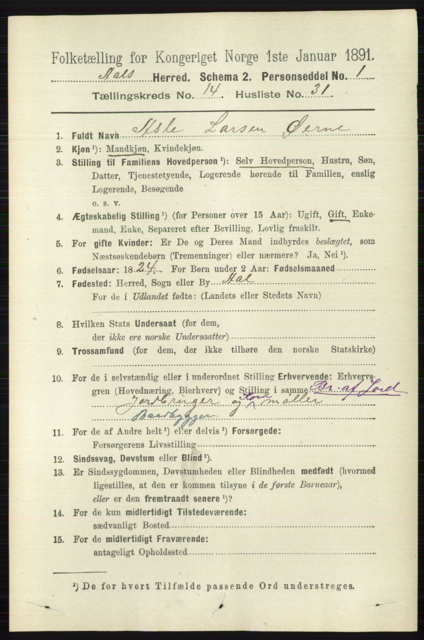 RA, 1891 census for 0619 Ål, 1891, p. 3693