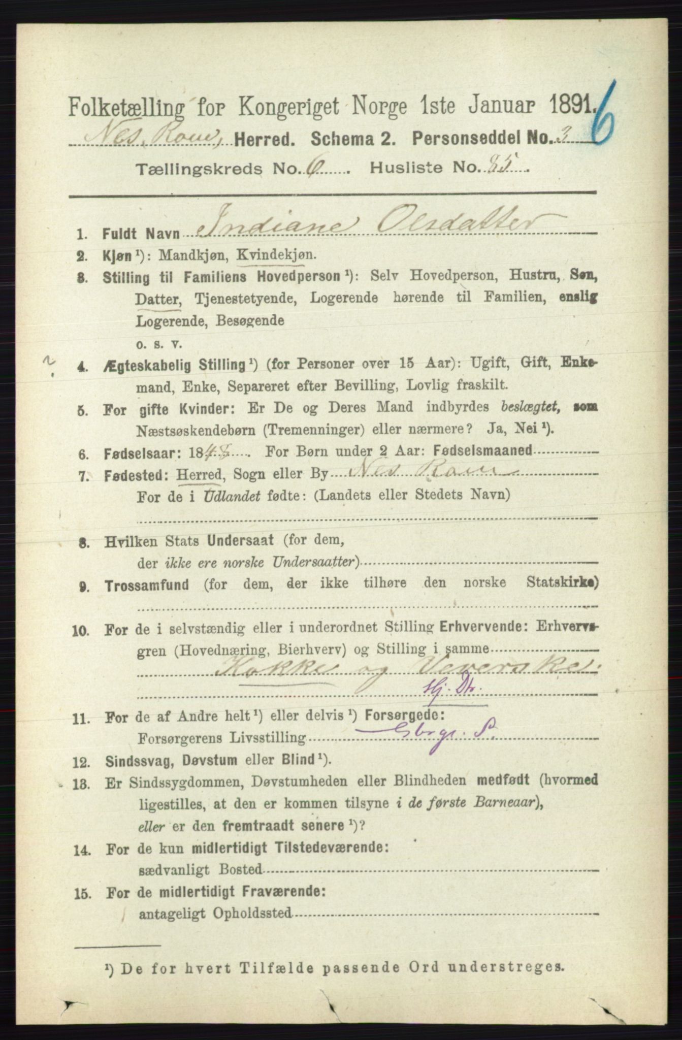 RA, 1891 census for 0236 Nes, 1891, p. 3910