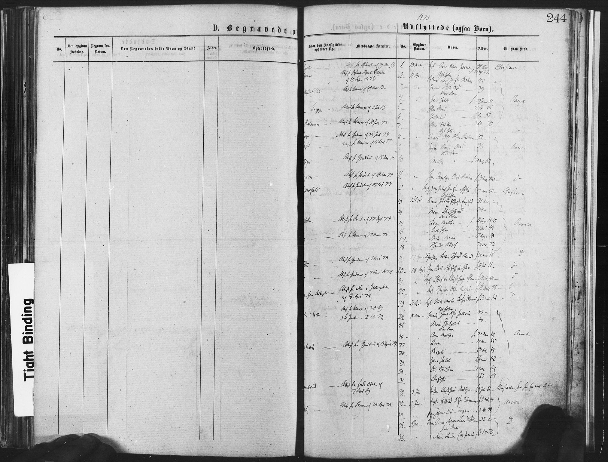 Nannestad prestekontor Kirkebøker, SAO/A-10414a/F/Fa/L0013: Parish register (official) no. I 13, 1873-1880, p. 244