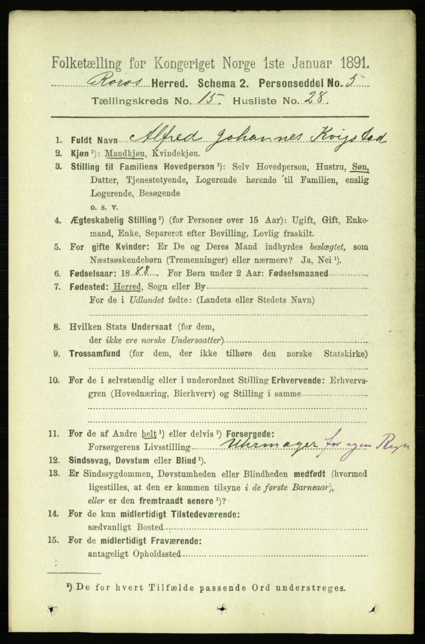 RA, 1891 census for 1640 Røros, 1891, p. 3519