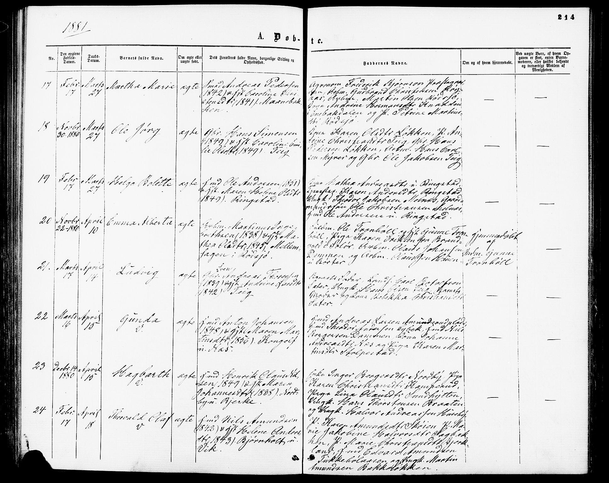 Enebakk prestekontor Kirkebøker, AV/SAO-A-10171c/F/Fa/L0011: Parish register (official) no. I 11, 1862-1882, p. 214