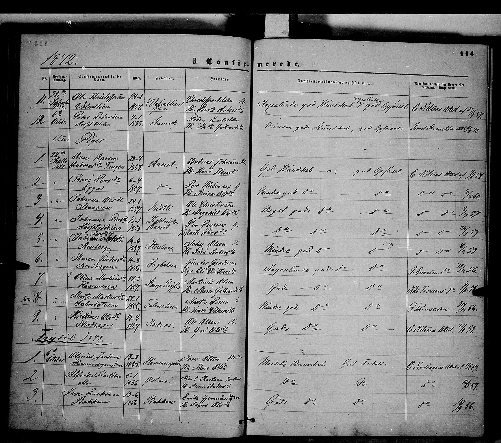 Trysil prestekontor, AV/SAH-PREST-046/H/Ha/Haa/L0006: Parish register (official) no. 6, 1866-1873, p. 114