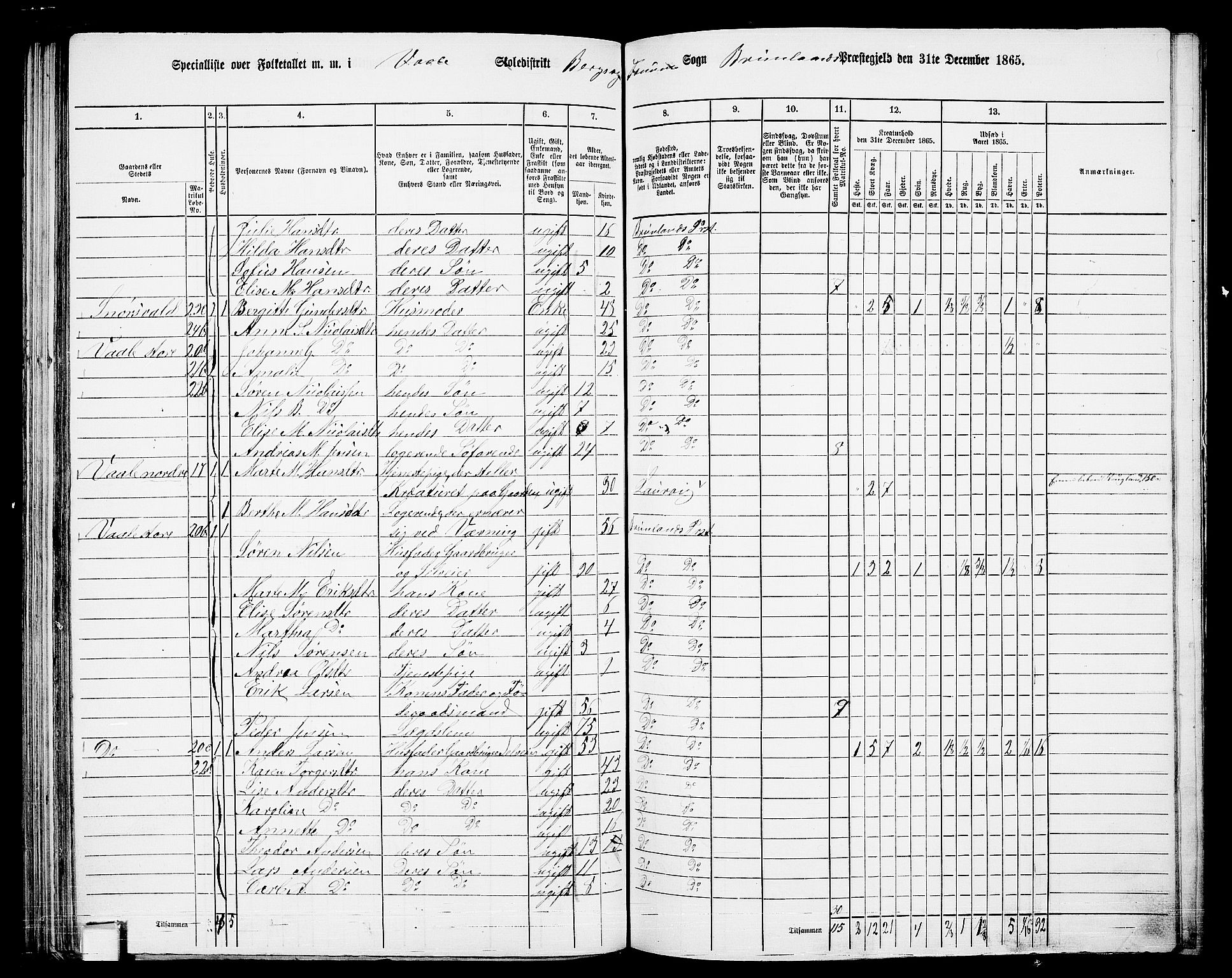 RA, 1865 census for Brunlanes, 1865, p. 119
