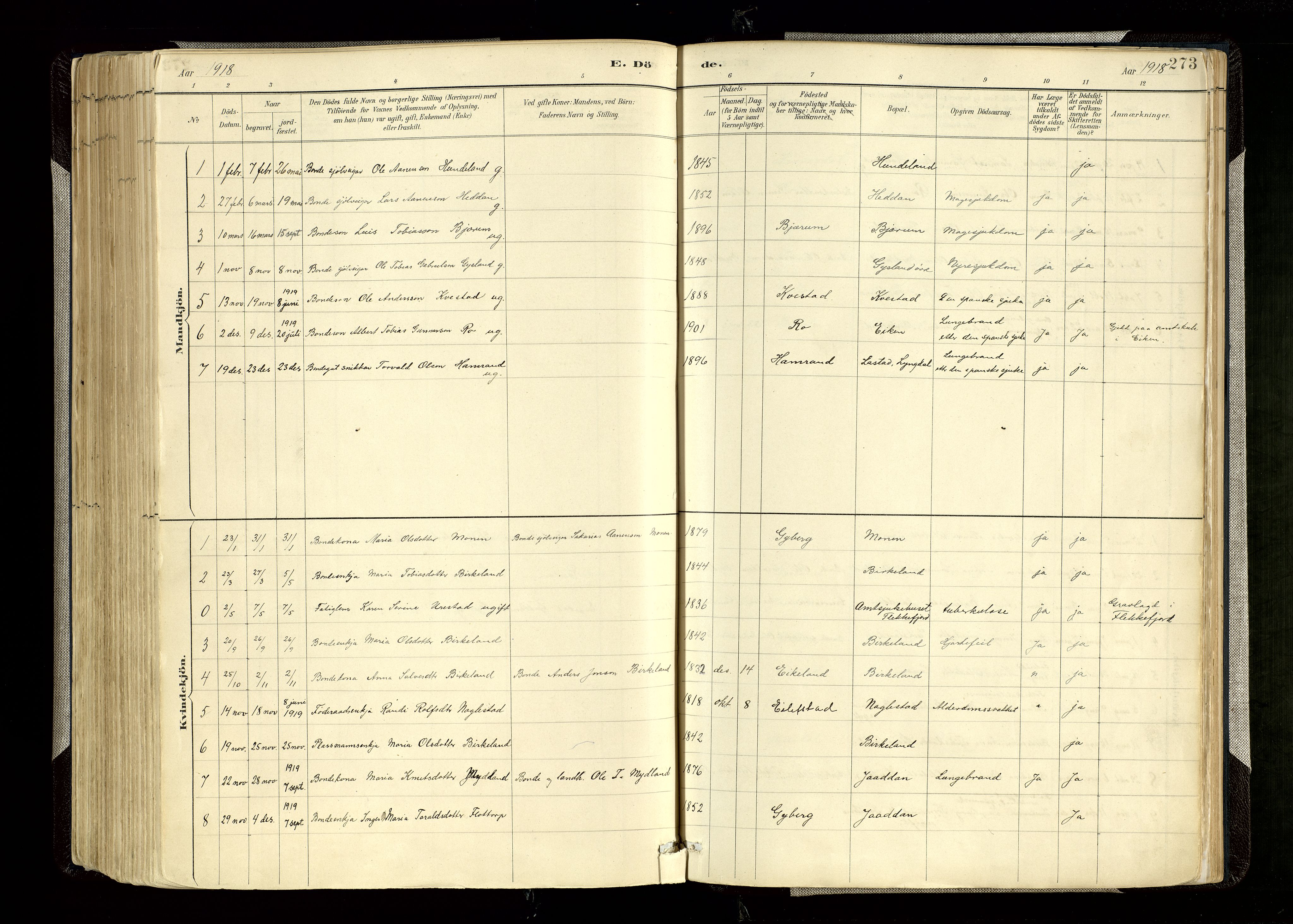Hægebostad sokneprestkontor, SAK/1111-0024/F/Fa/Faa/L0006: Parish register (official) no. A 6, 1887-1929, p. 273