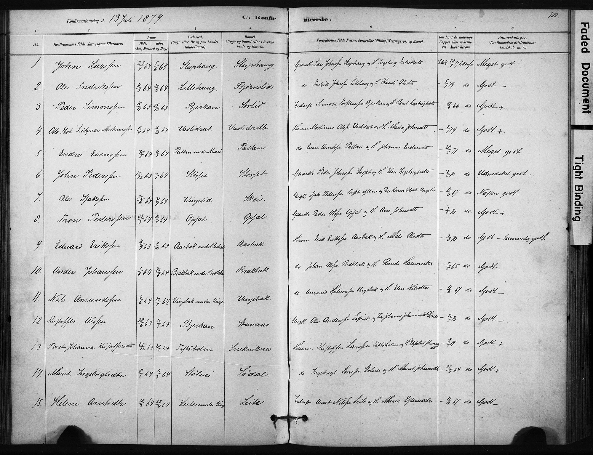 Ministerialprotokoller, klokkerbøker og fødselsregistre - Sør-Trøndelag, SAT/A-1456/631/L0512: Parish register (official) no. 631A01, 1879-1912, p. 100