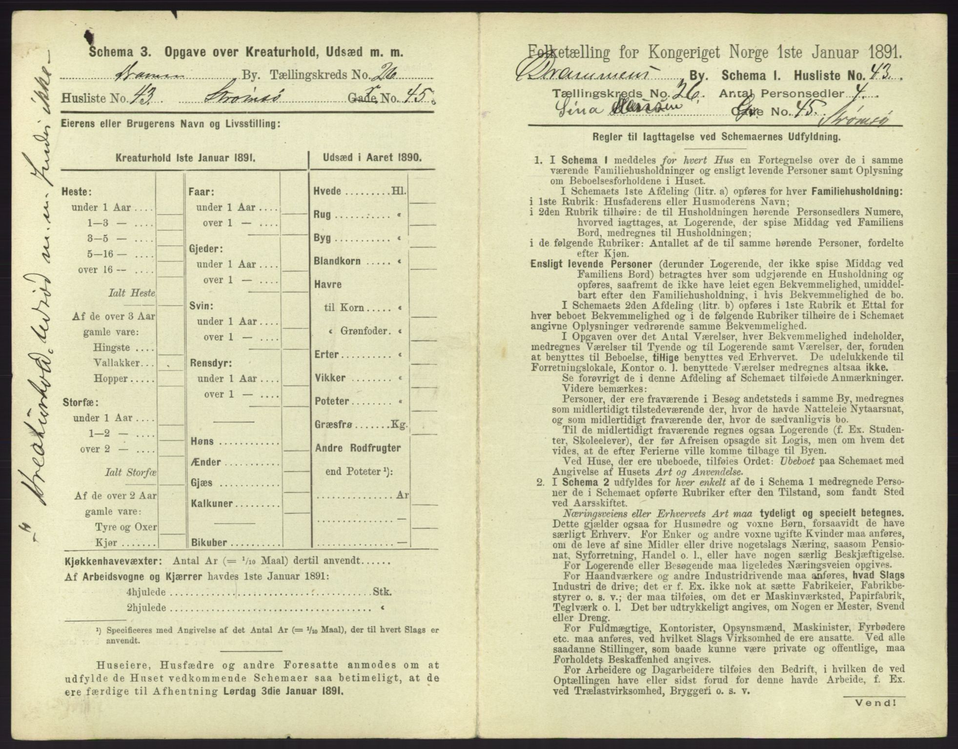 RA, 1891 census for 0602 Drammen, 1891, p. 2249