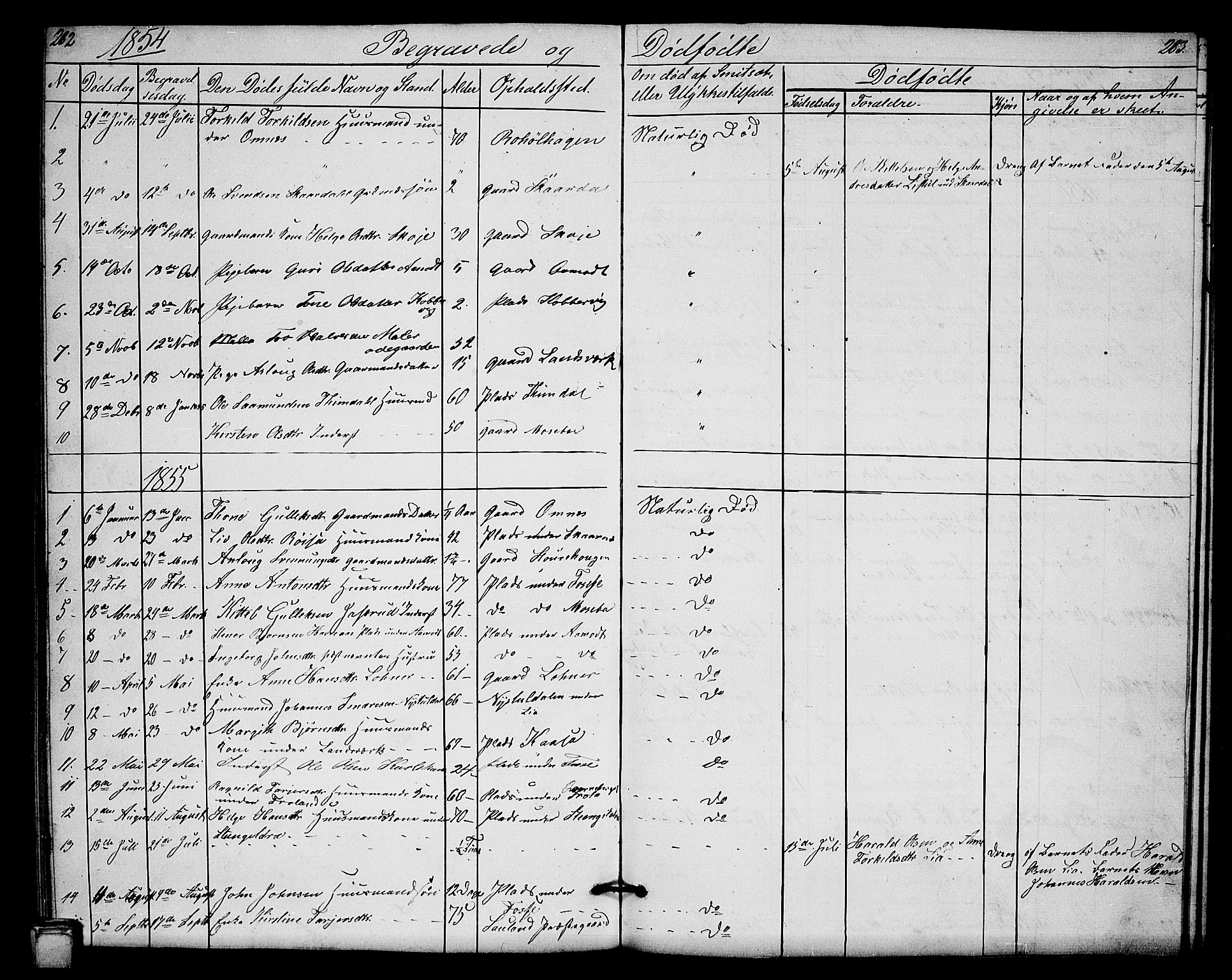 Hjartdal kirkebøker, SAKO/A-270/G/Gb/L0002: Parish register (copy) no. II 2, 1854-1884, p. 282-283