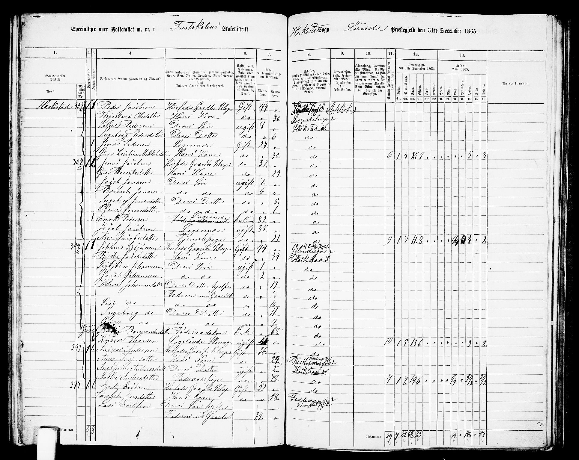 RA, 1865 census for Lund, 1865, p. 81