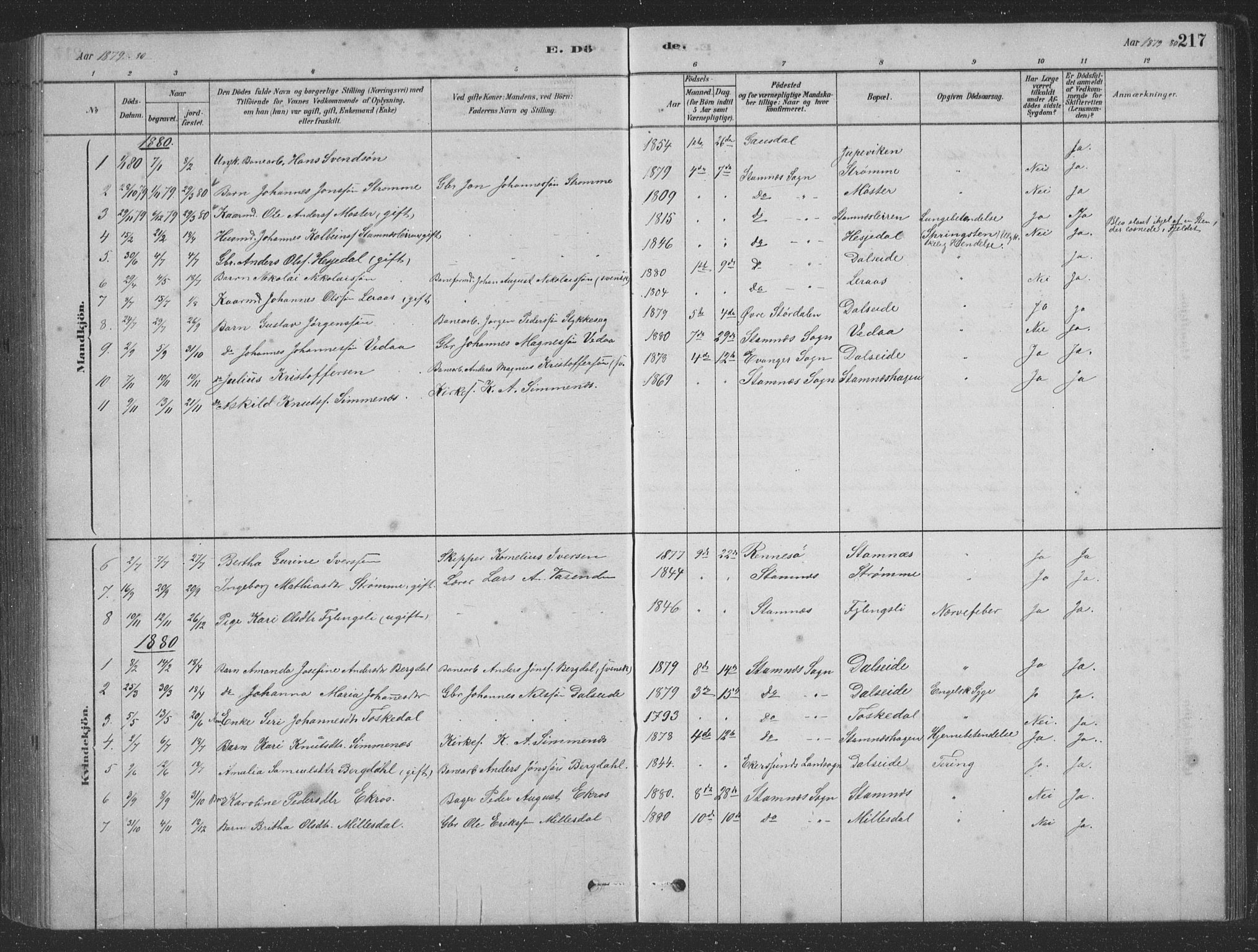 Vaksdal Sokneprestembete, AV/SAB-A-78901/H/Hab: Parish register (copy) no. D 1, 1878-1939, p. 217