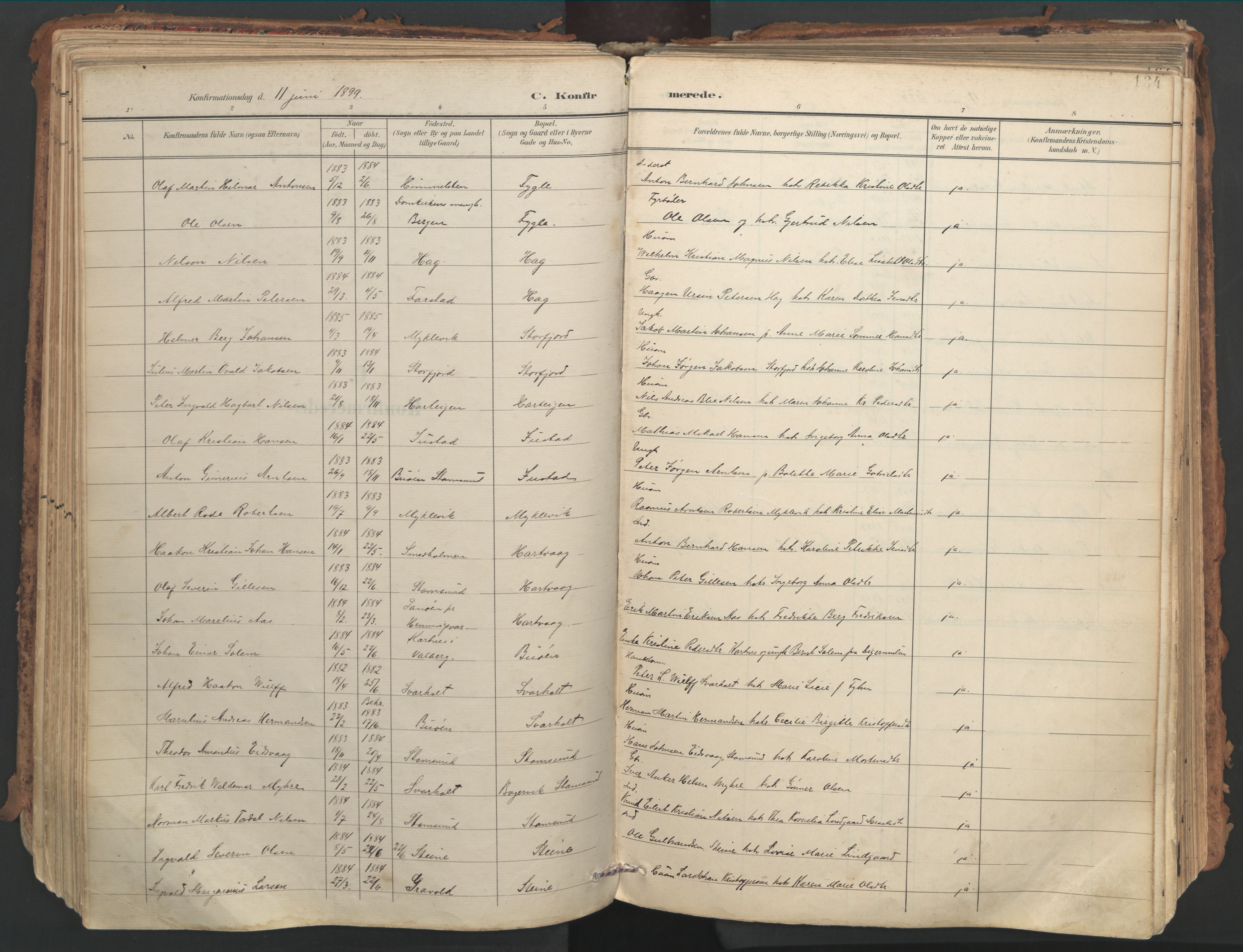 Ministerialprotokoller, klokkerbøker og fødselsregistre - Nordland, AV/SAT-A-1459/882/L1180: Parish register (official) no. 882A02, 1897-1913, p. 134