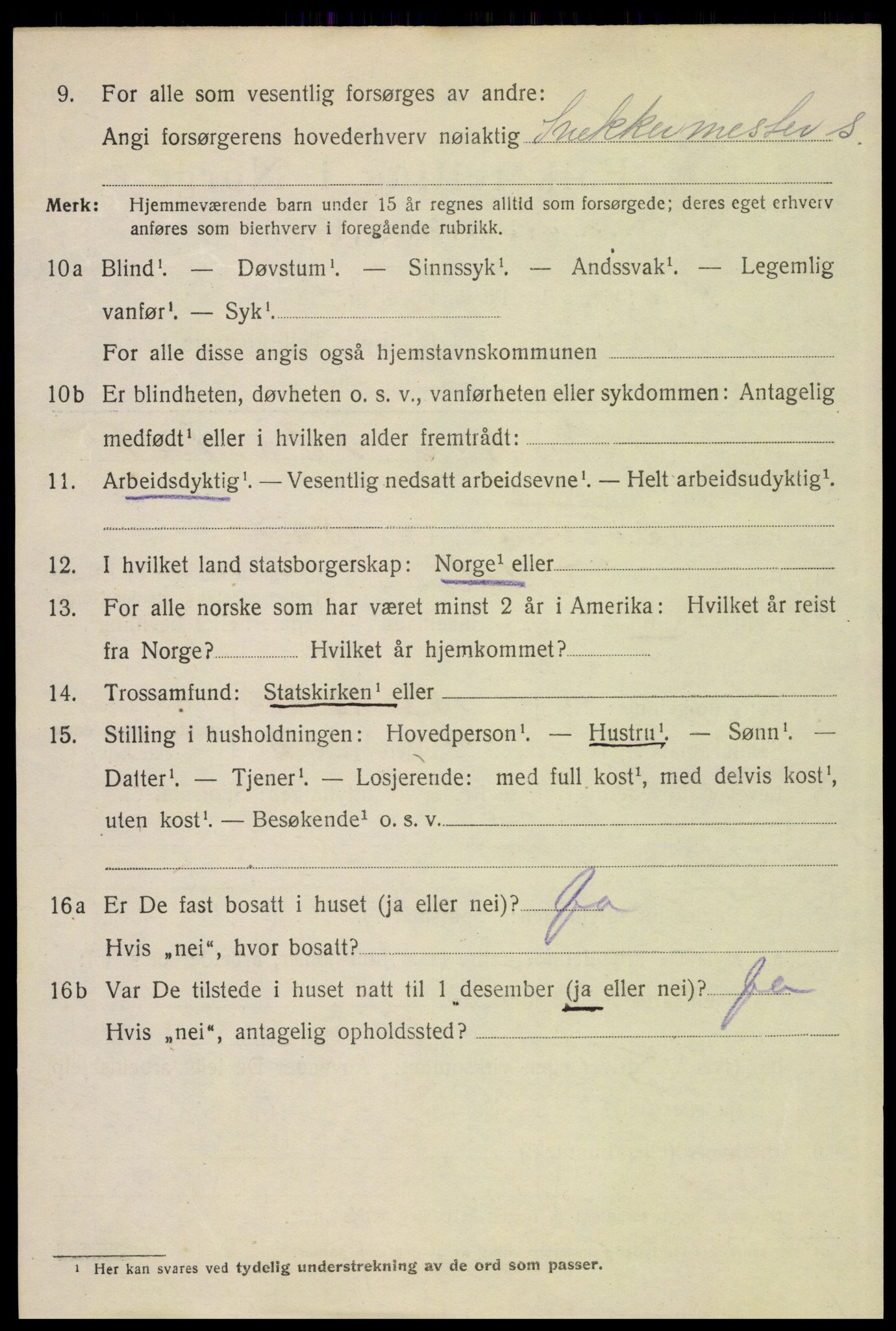 SAH, 1920 census for Lillehammer, 1920, p. 5629