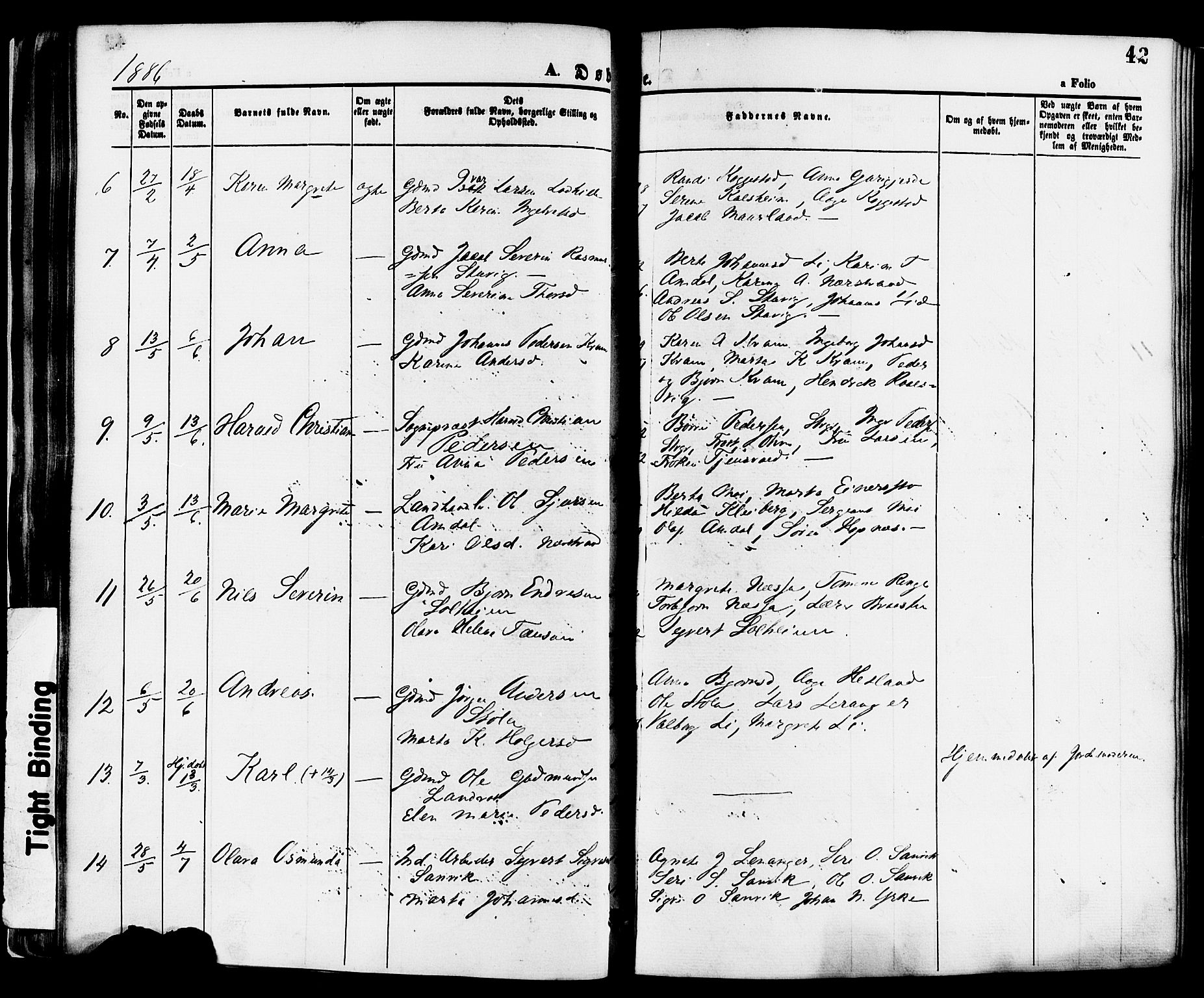 Nedstrand sokneprestkontor, SAST/A-101841/01/IV: Parish register (official) no. A 11, 1877-1887, p. 42
