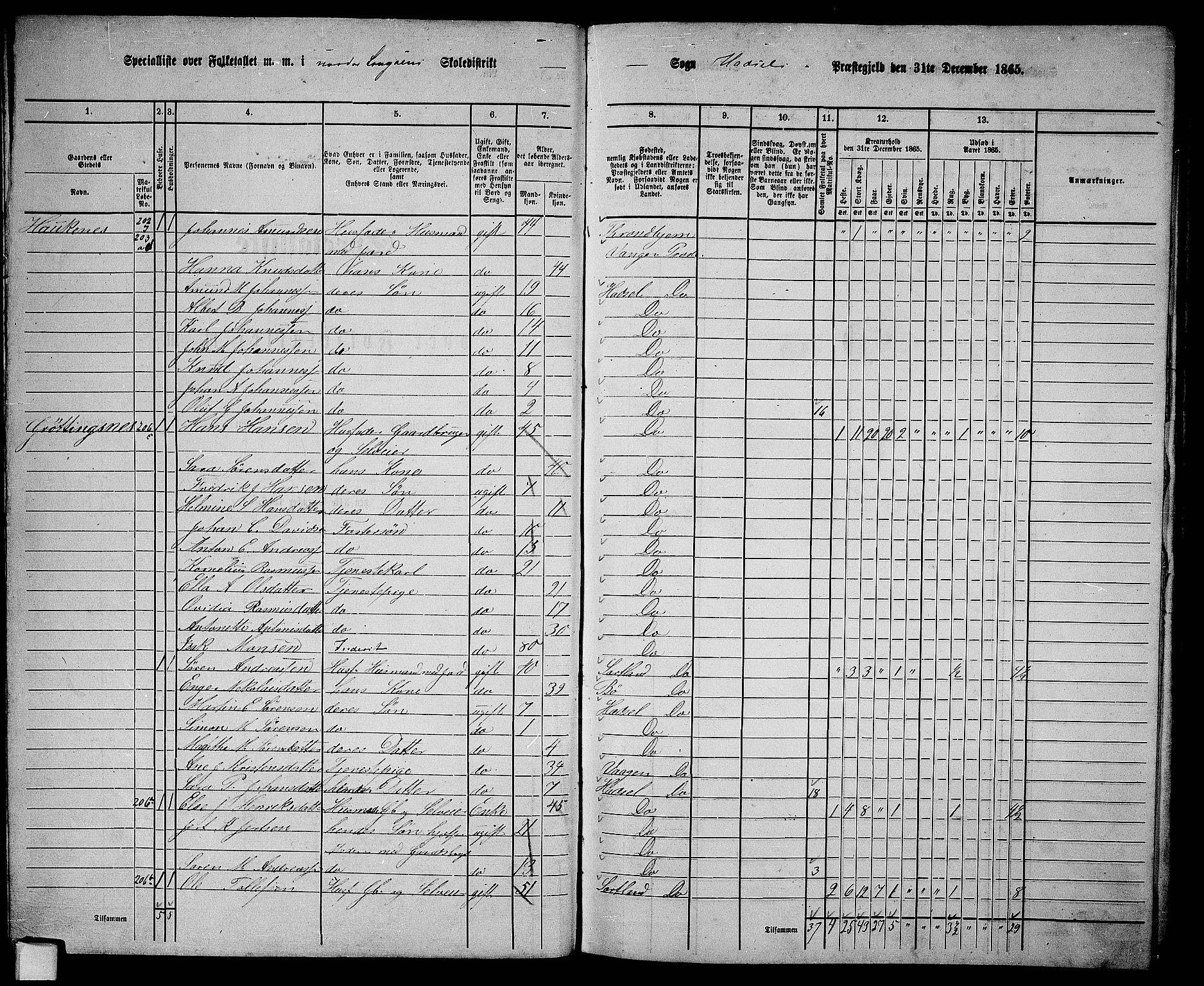 RA, 1865 census for Hadsel, 1865, p. 24