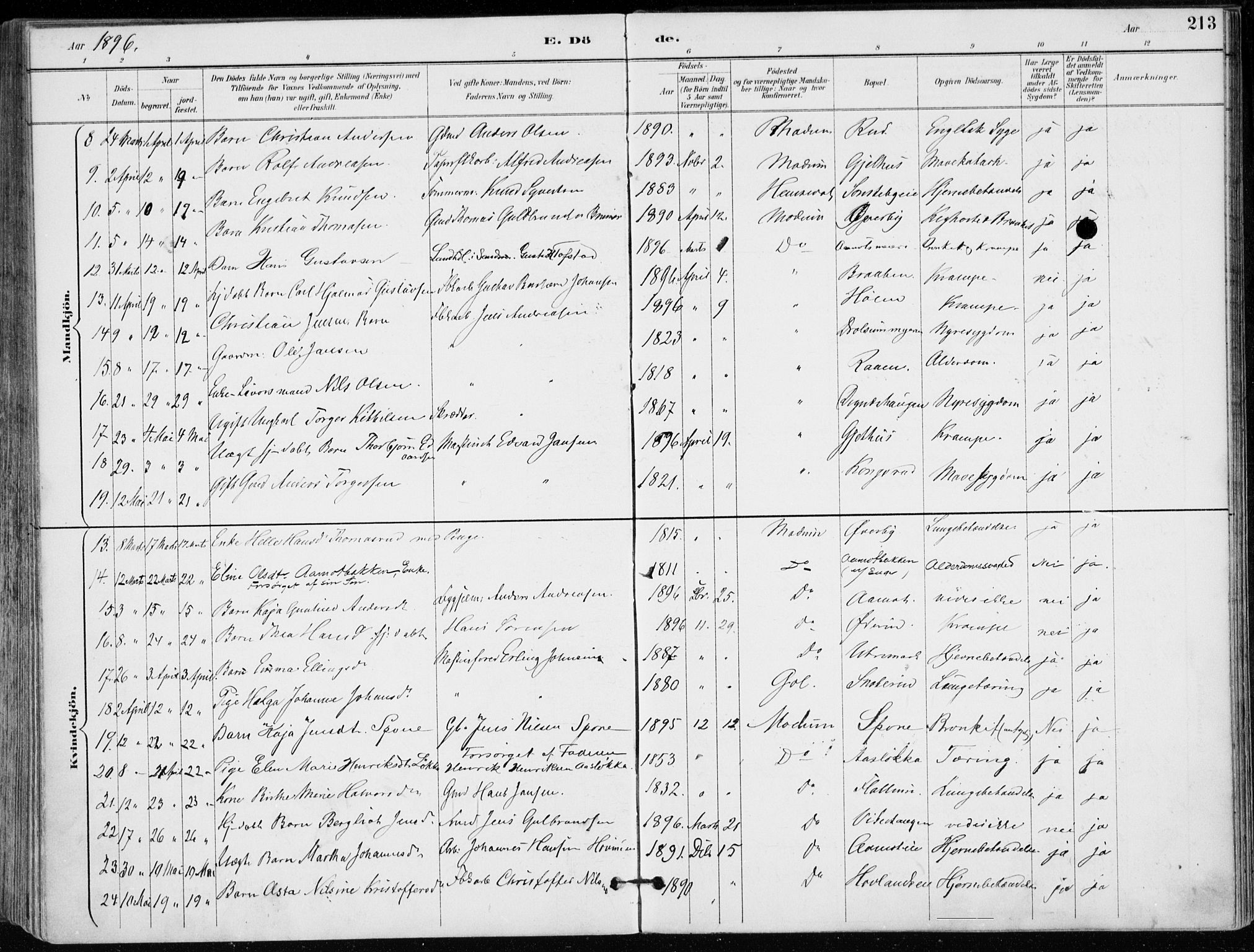 Modum kirkebøker, AV/SAKO-A-234/F/Fa/L0012: Parish register (official) no. 12, 1890-1898, p. 213