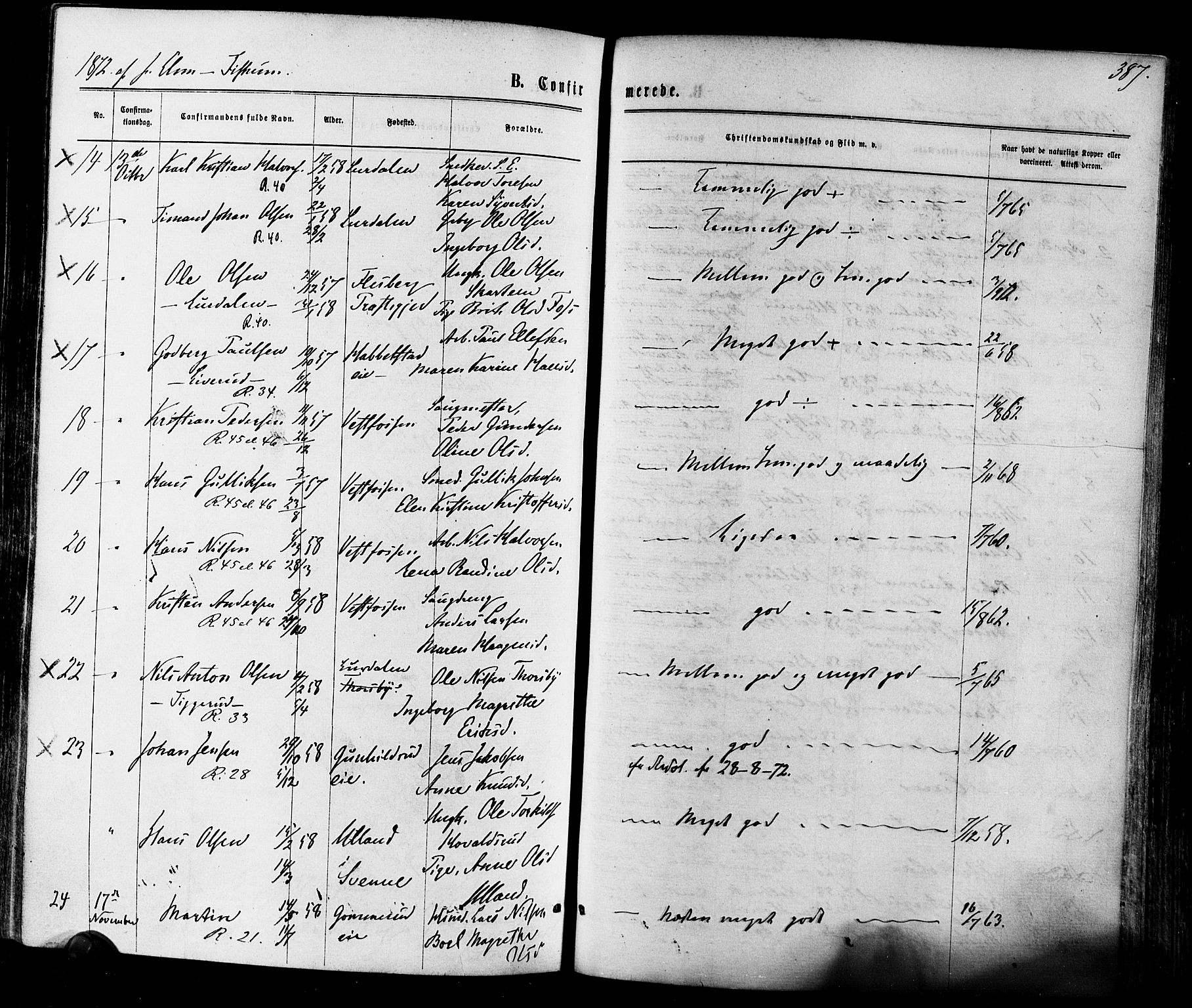 Eiker kirkebøker, SAKO/A-4/F/Fa/L0017: Parish register (official) no. I 17, 1869-1877, p. 387