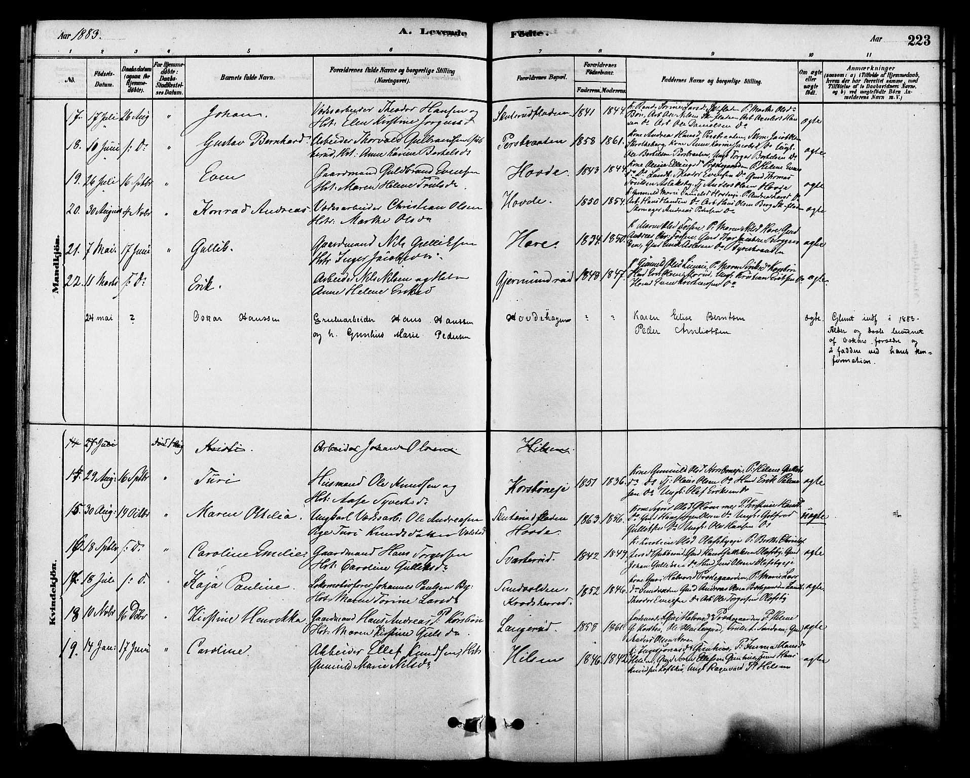 Modum kirkebøker, SAKO/A-234/F/Fa/L0015: Parish register (official) no. 15 /2, 1877-1889, p. 223