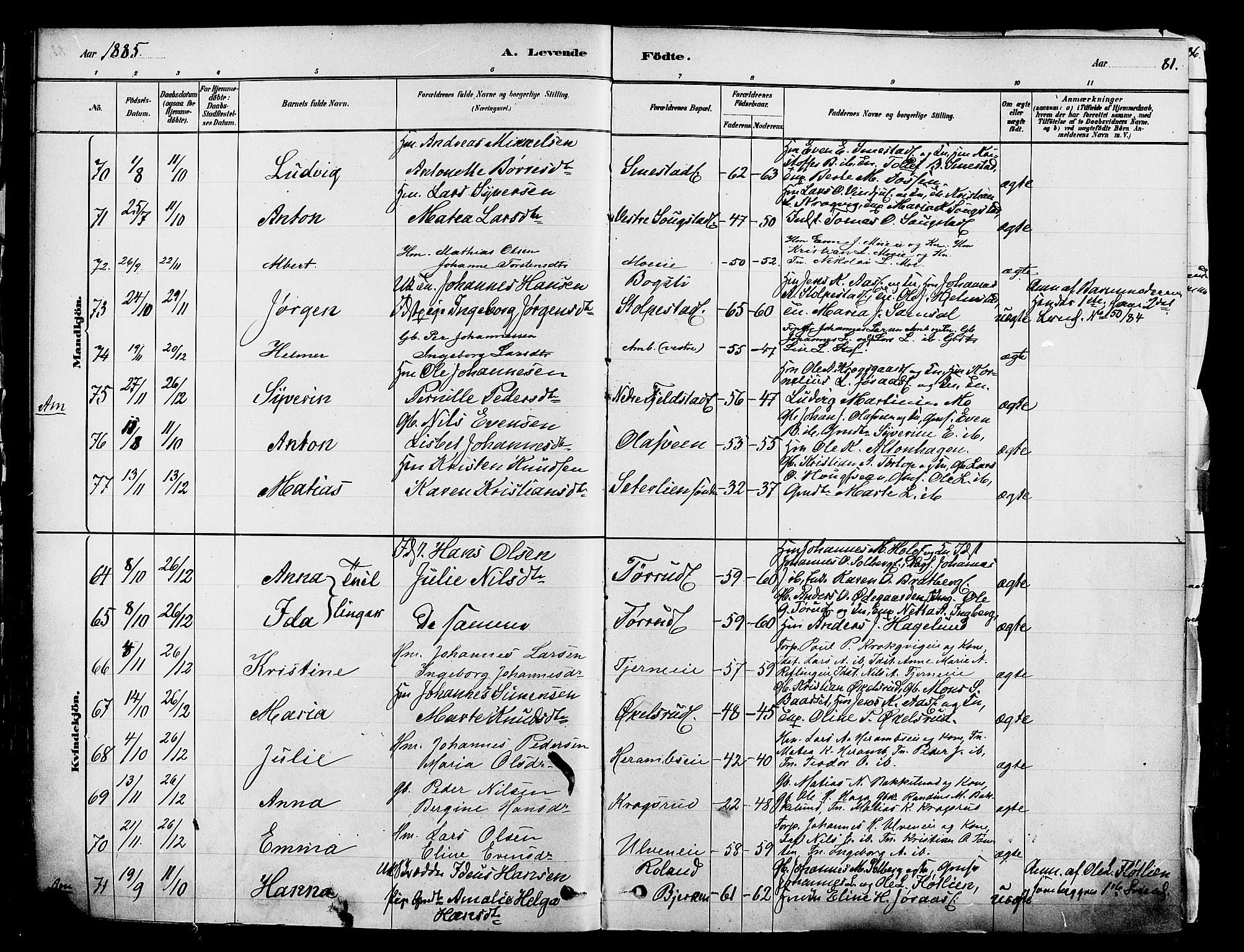 Ringsaker prestekontor, AV/SAH-PREST-014/K/Ka/L0012: Parish register (official) no. 12, 1879-1890, p. 81