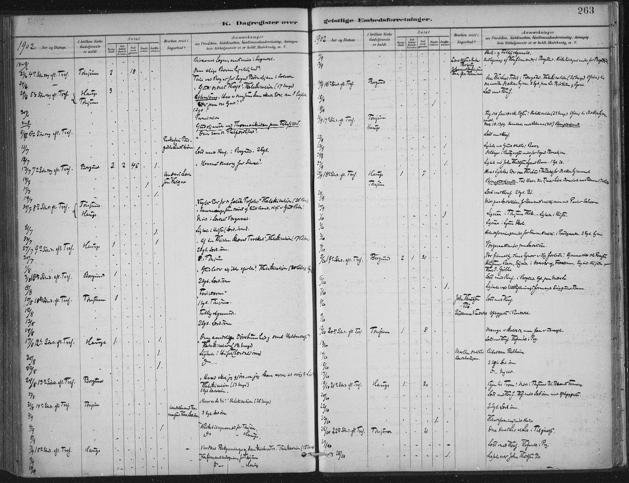 Lærdal sokneprestembete, SAB/A-81201: Parish register (official) no. D  1, 1878-1908, p. 263