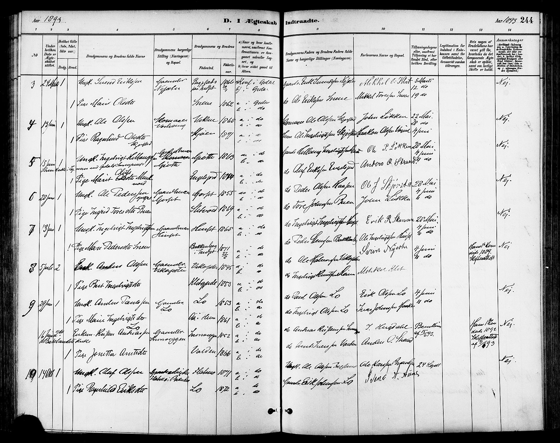 Ministerialprotokoller, klokkerbøker og fødselsregistre - Sør-Trøndelag, AV/SAT-A-1456/678/L0901: Parish register (official) no. 678A10, 1881-1894, p. 244