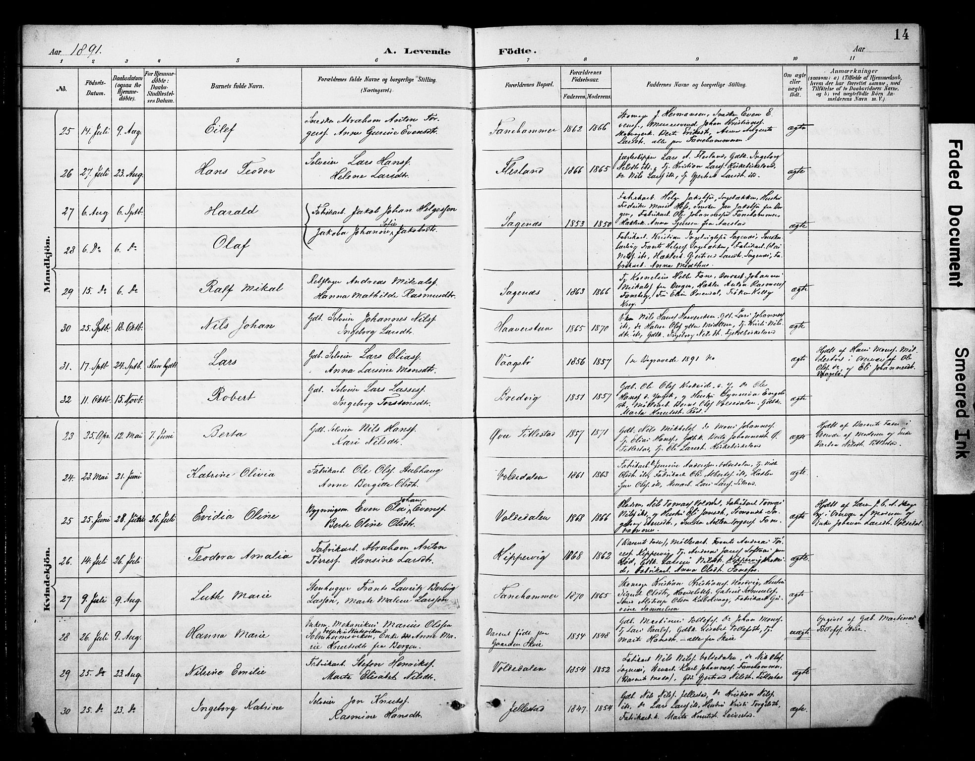 Fana Sokneprestembete, AV/SAB-A-75101/H/Haa/Haab/L0002: Parish register (official) no. B 2, 1890-1897, p. 14