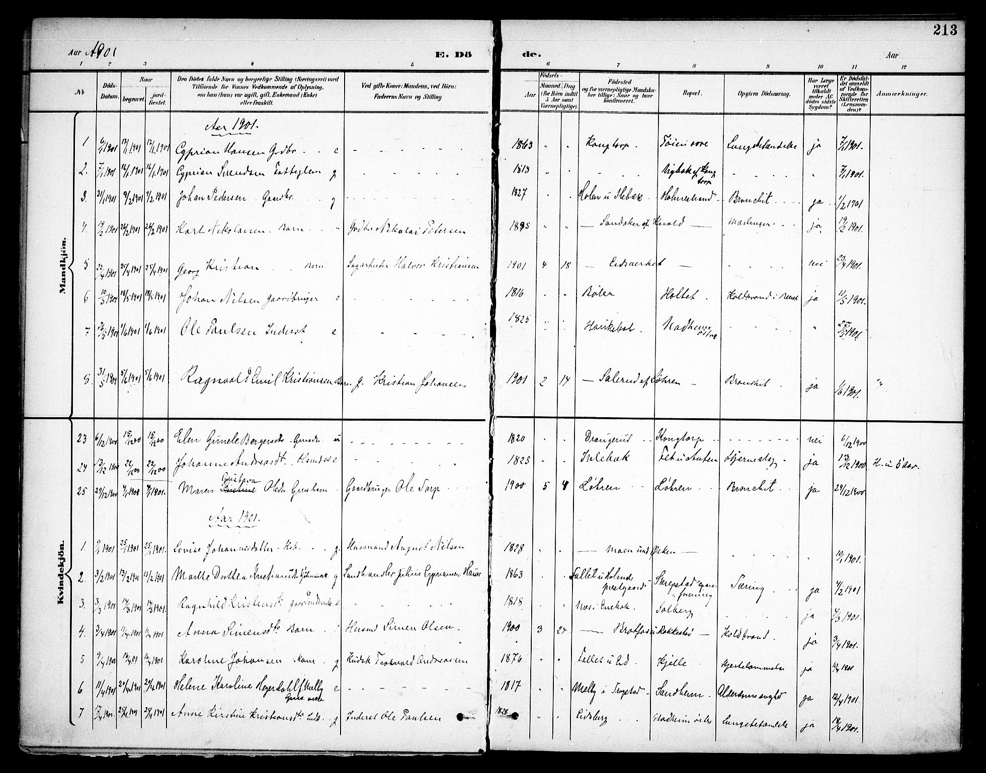Høland prestekontor Kirkebøker, SAO/A-10346a/F/Fa/L0015: Parish register (official) no. I 15, 1897-1912, p. 213