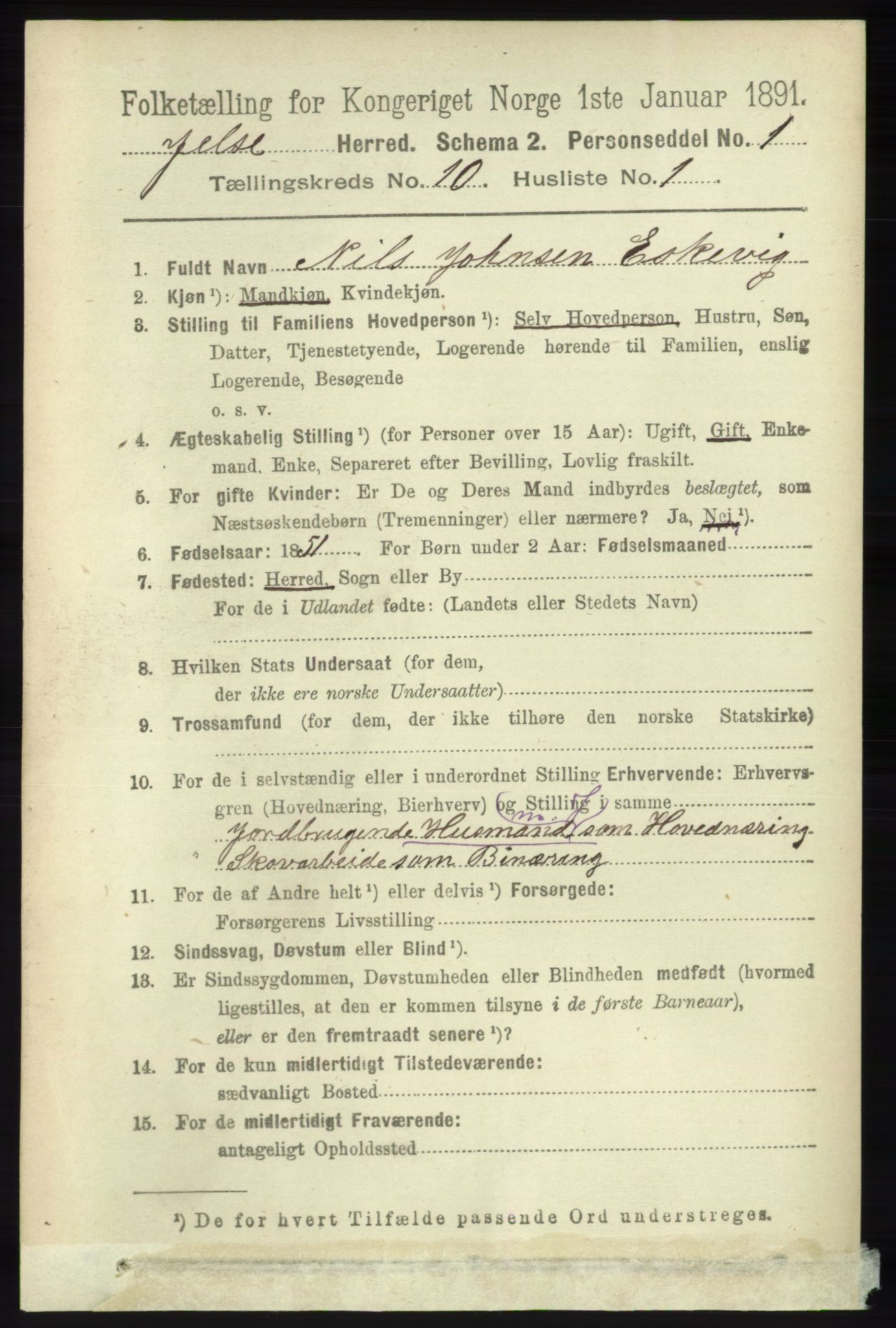 RA, 1891 census for 1138 Jelsa, 1891, p. 2427