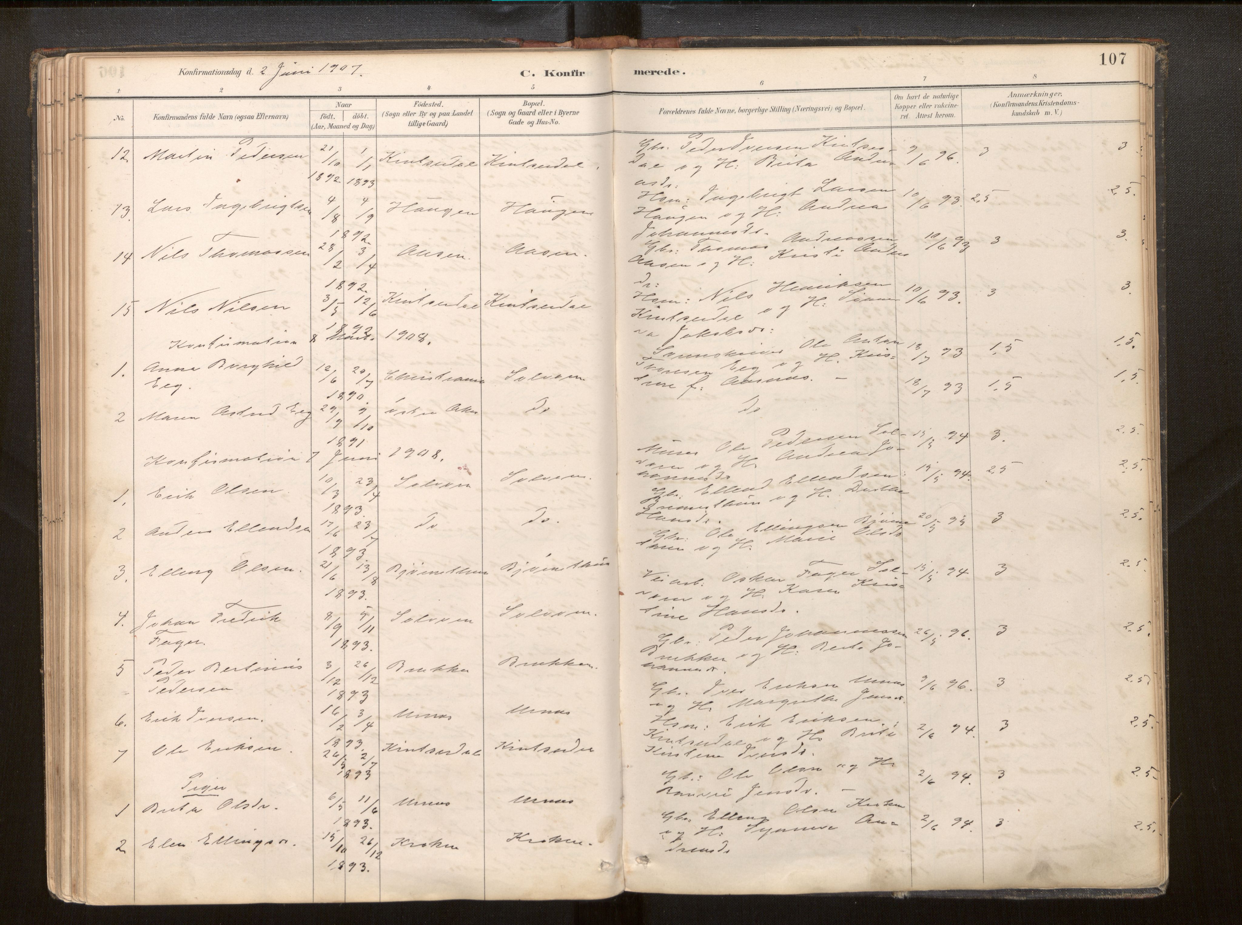 Hafslo sokneprestembete, SAB/A-80301/H/Haa/Haac/L0001: Parish register (official) no. C 1, 1886-1944, p. 107