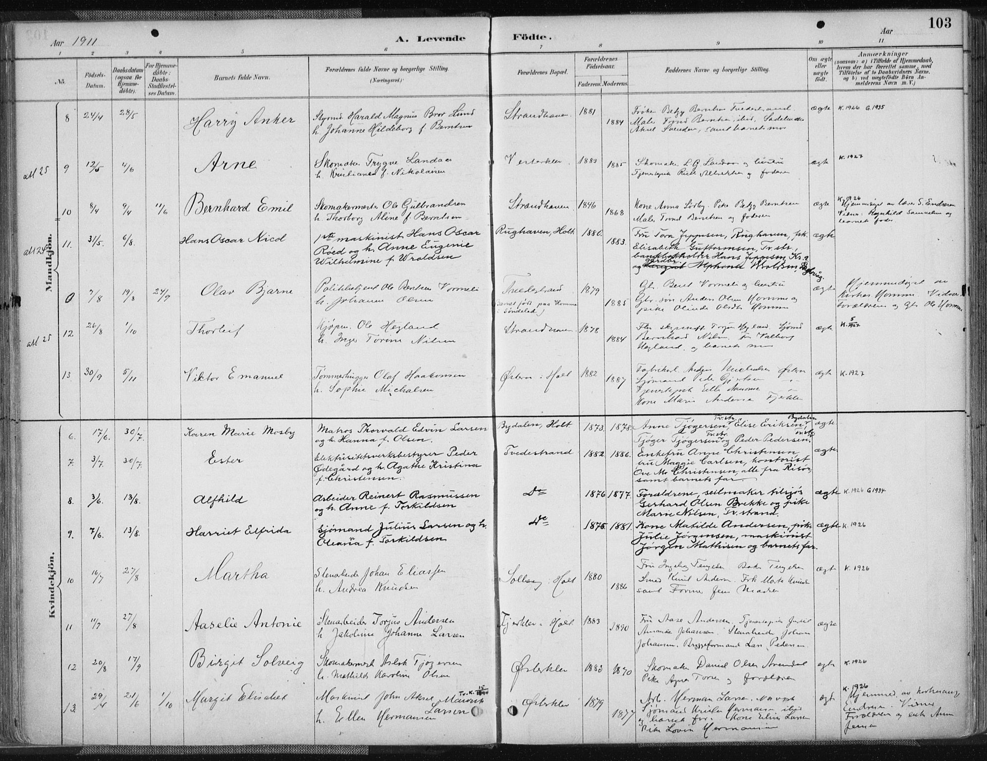 Tvedestrand sokneprestkontor, AV/SAK-1111-0042/F/Fa/L0001: Parish register (official) no. A 1, 1885-1916, p. 103