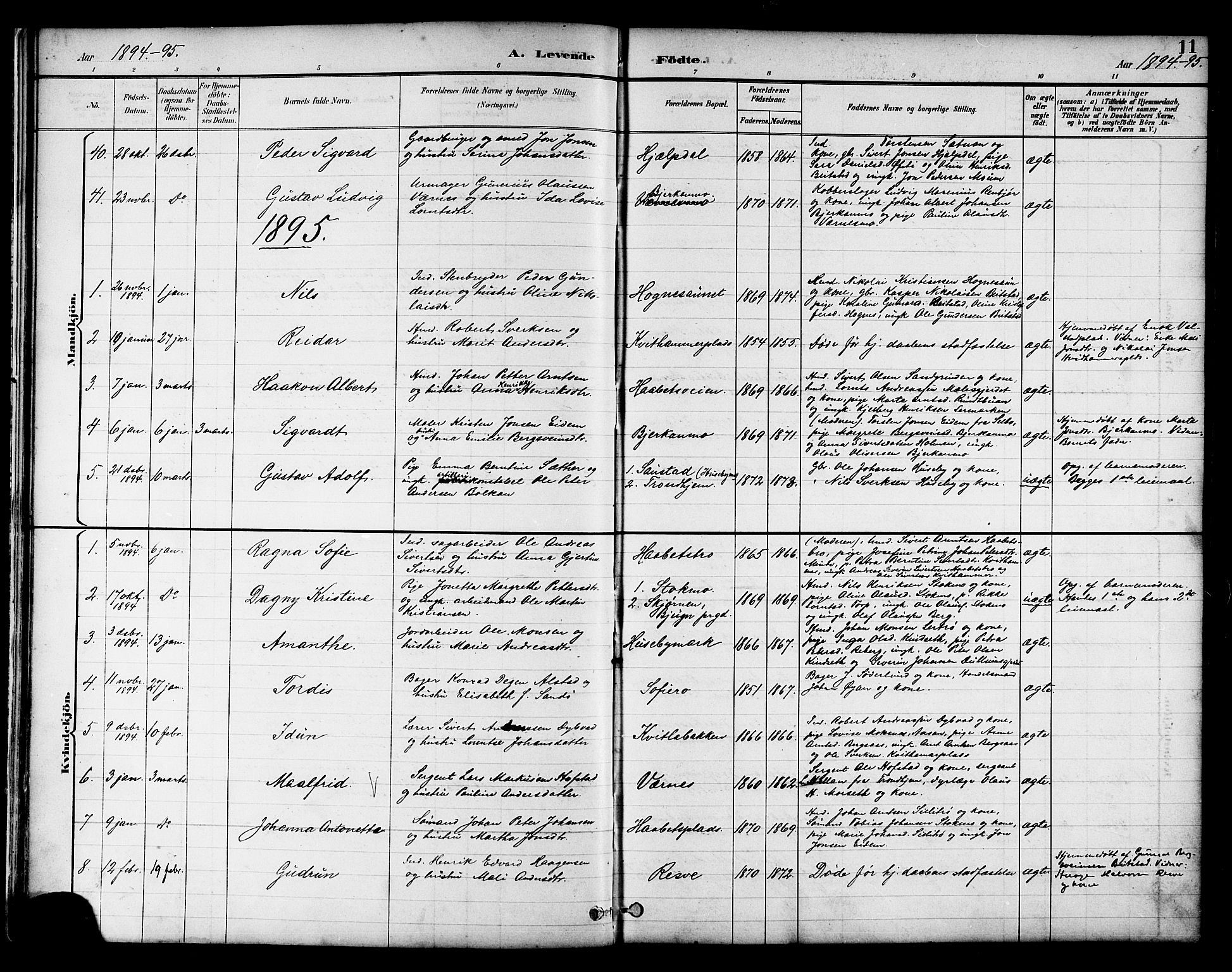 Ministerialprotokoller, klokkerbøker og fødselsregistre - Nord-Trøndelag, SAT/A-1458/709/L0087: Parish register (copy) no. 709C01, 1892-1913, p. 11