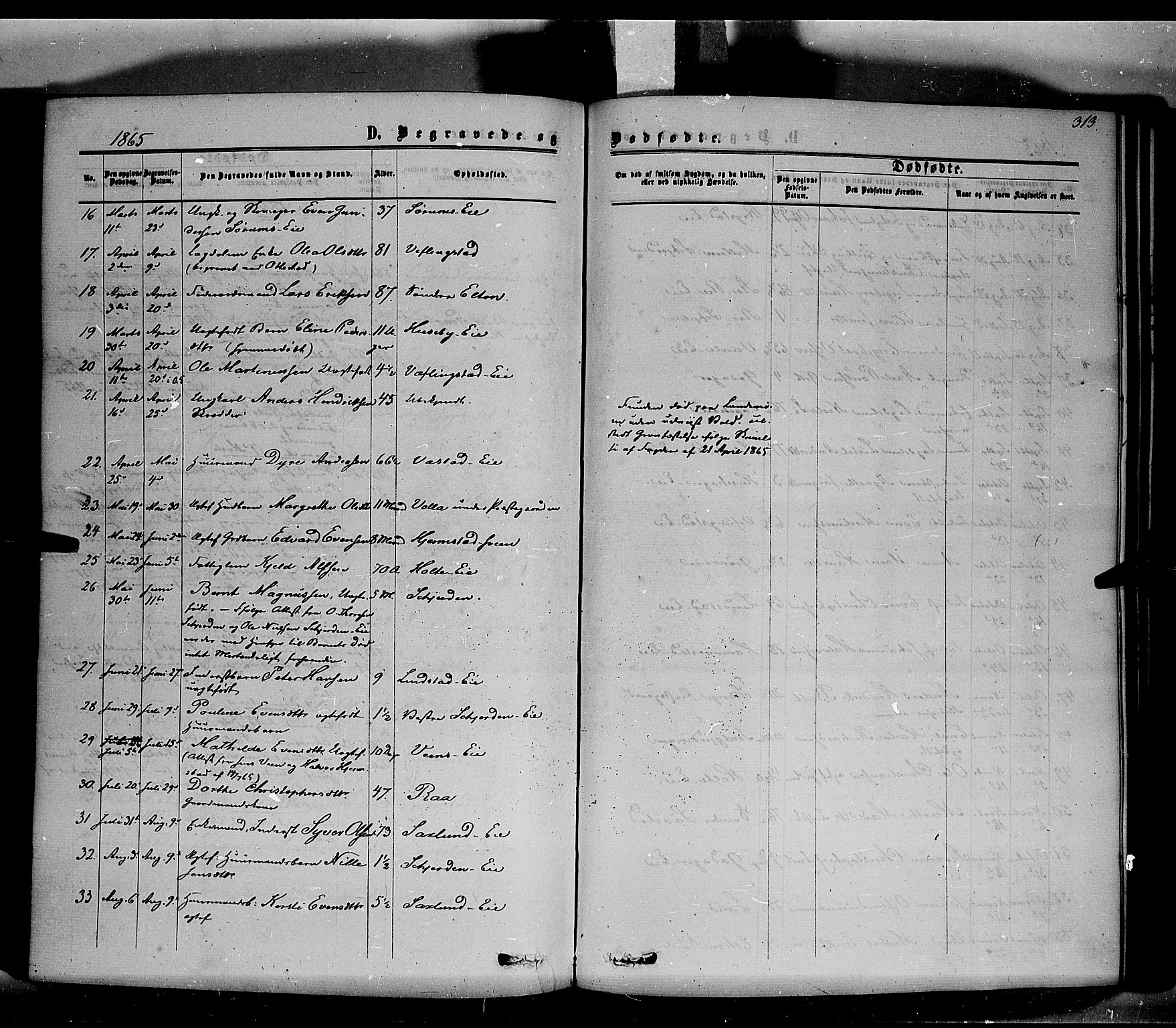 Stange prestekontor, SAH/PREST-002/K/L0013: Parish register (official) no. 13, 1862-1879, p. 313