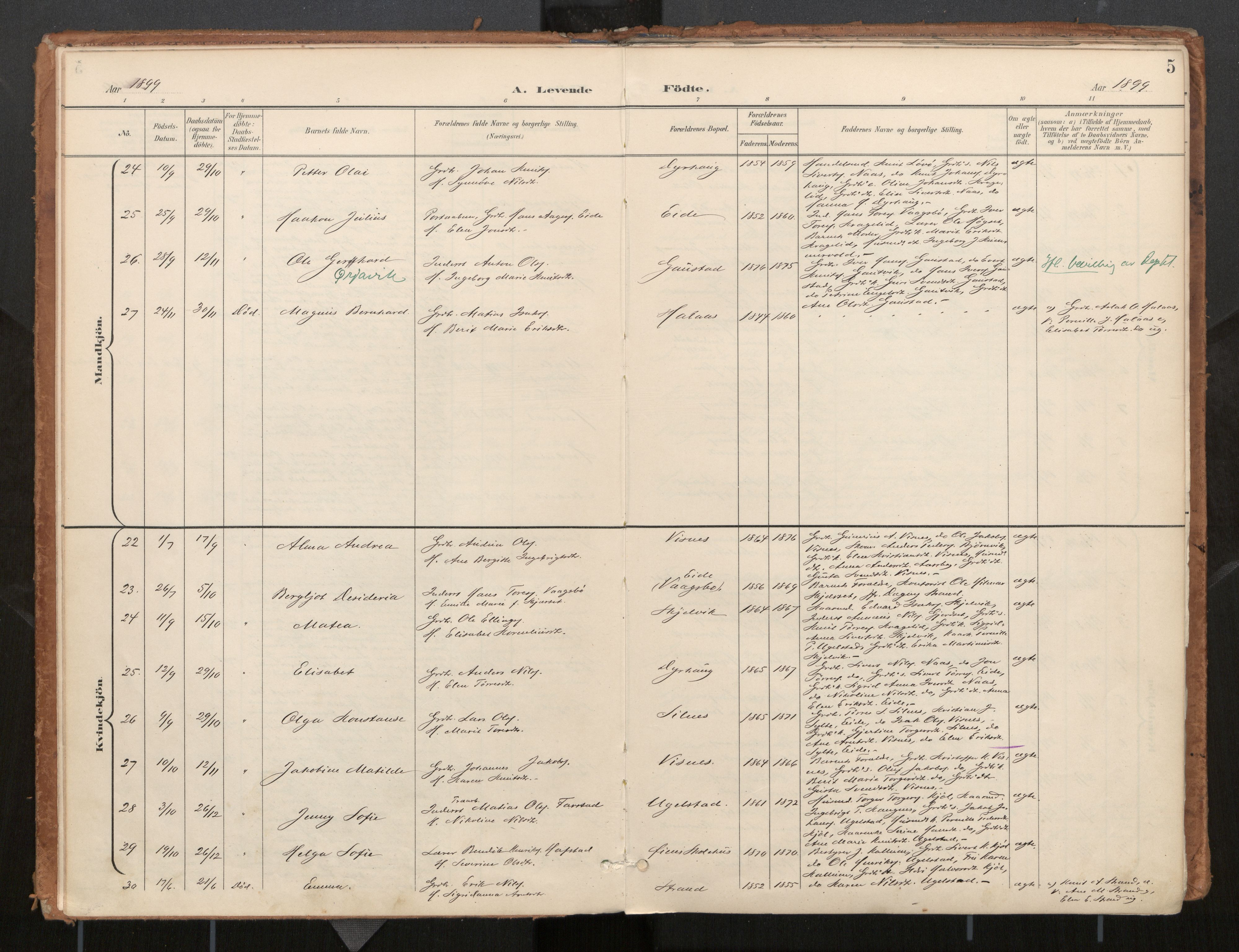Ministerialprotokoller, klokkerbøker og fødselsregistre - Møre og Romsdal, SAT/A-1454/571/L0836a: Parish register (official) no. 571A02, 1898-1910, p. 5