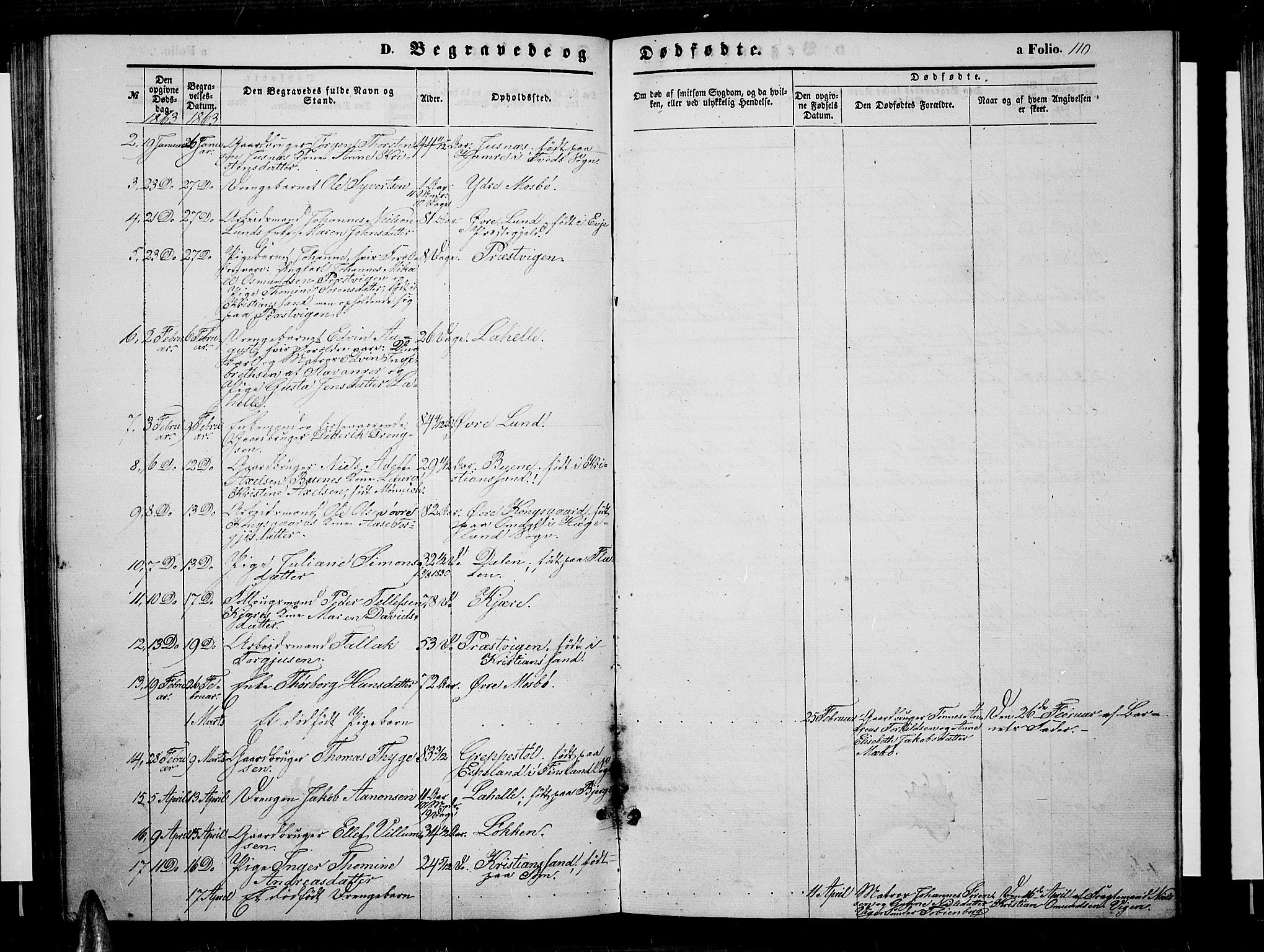 Oddernes sokneprestkontor, AV/SAK-1111-0033/F/Fb/Fba/L0006: Parish register (copy) no. B 6 /1, 1860-1869, p. 110