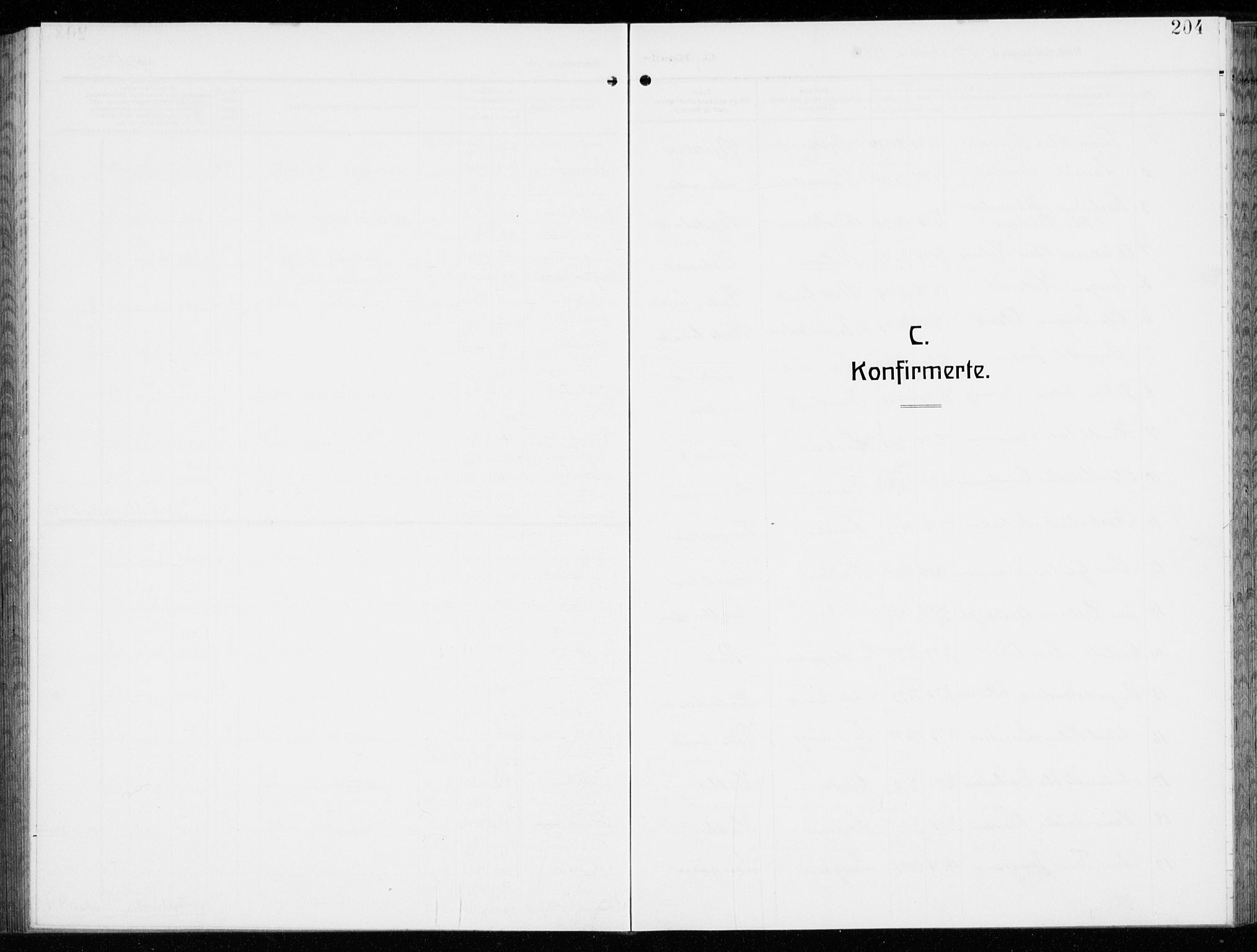 Kråkerøy prestekontor Kirkebøker, SAO/A-10912/G/Ga/L0001: Parish register (copy) no. 1, 1908-1944, p. 204