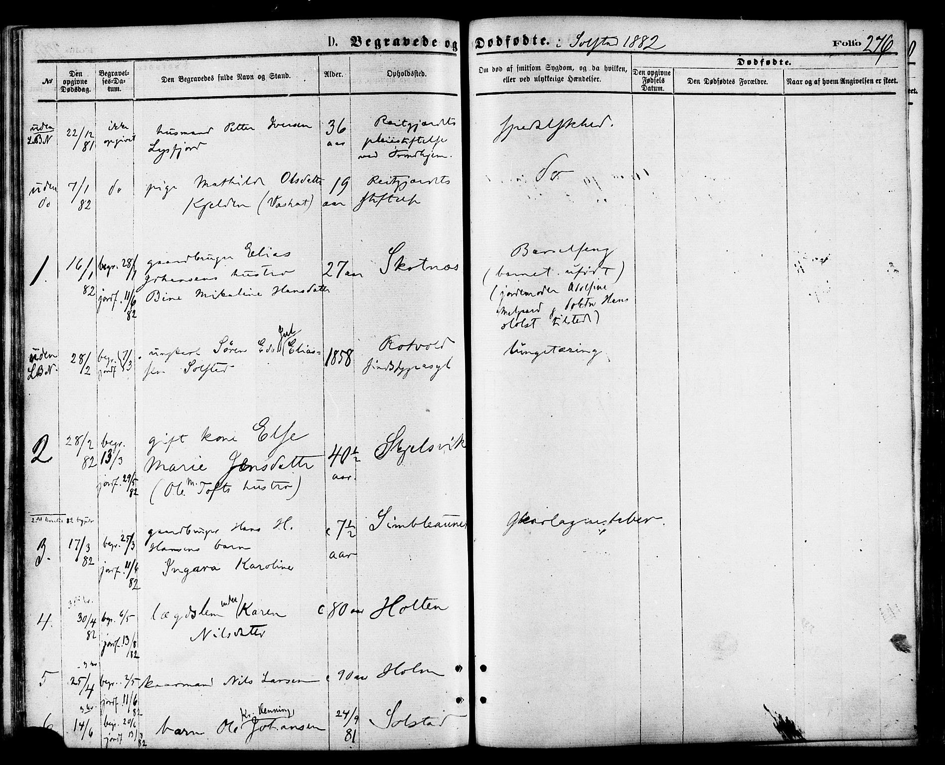 Ministerialprotokoller, klokkerbøker og fødselsregistre - Nordland, AV/SAT-A-1459/810/L0149: Parish register (official) no. 810A09 /2, 1874-1884, p. 276