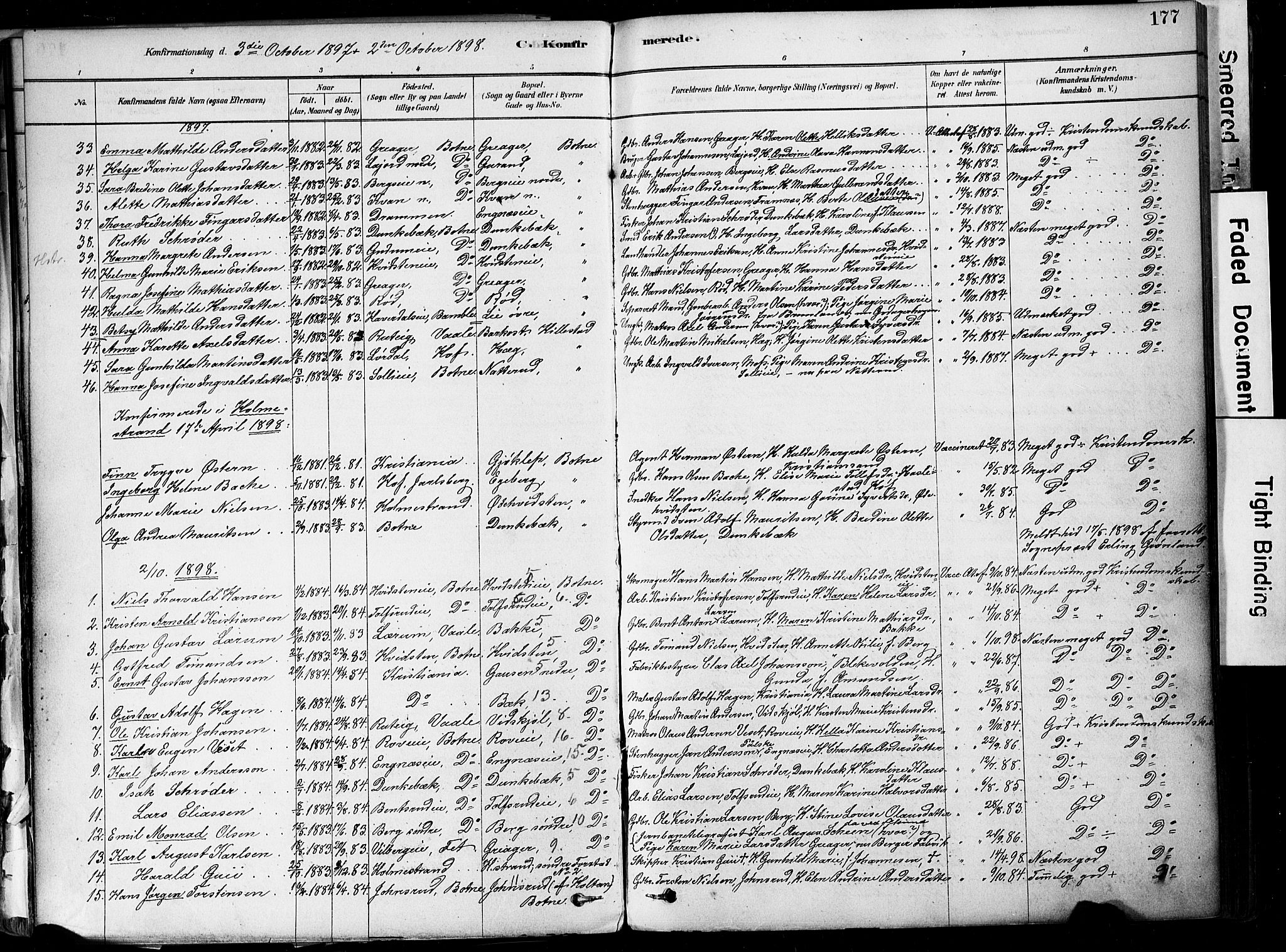 Botne kirkebøker, AV/SAKO-A-340/F/Fa/L0007: Parish register (official) no. I 7, 1878-1910, p. 177