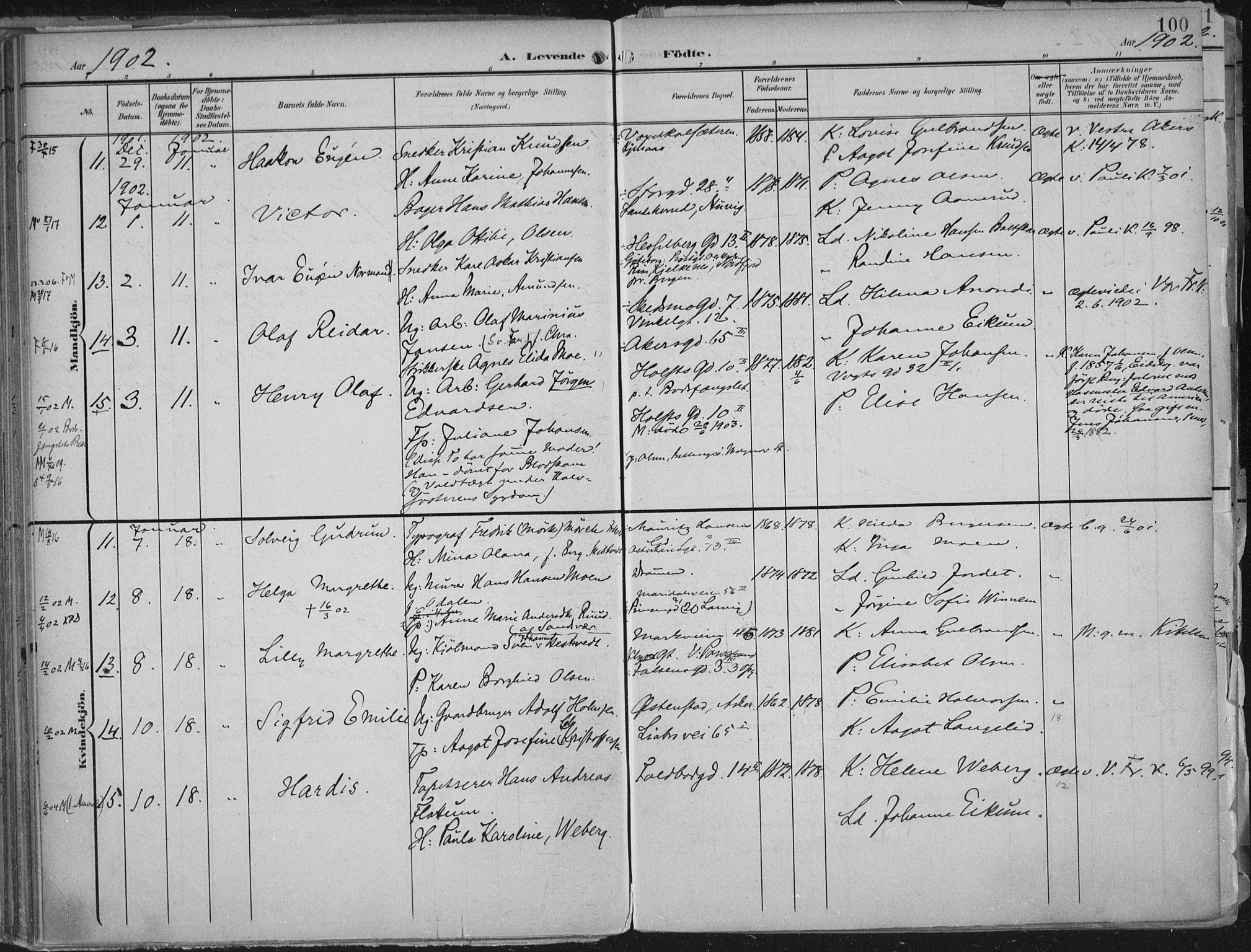 Rikshospitalet prestekontor Kirkebøker, SAO/A-10309b/F/L0012: Parish register (official) no. 12, 1901-1904, p. 100