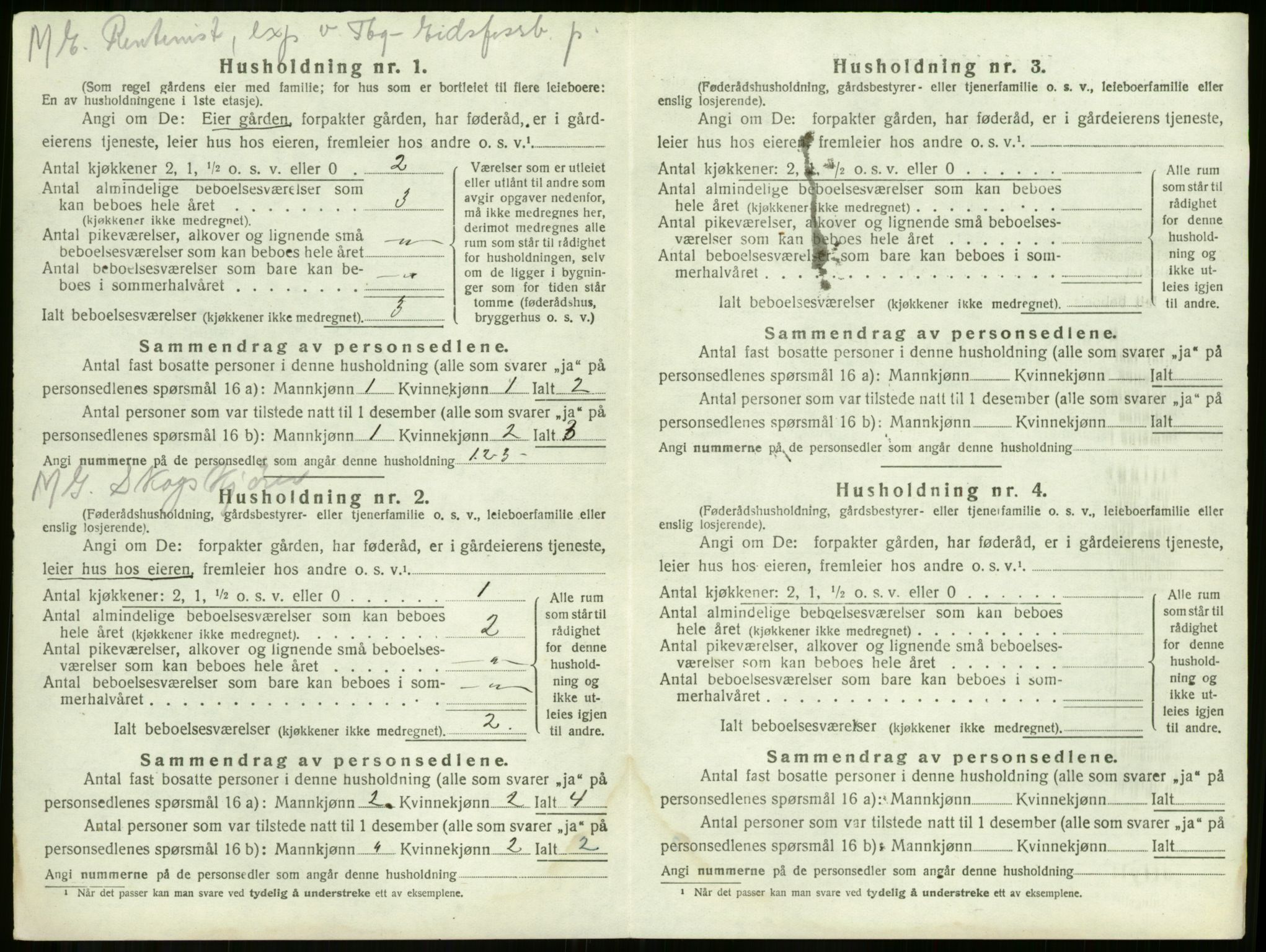 SAKO, 1920 census for Våle, 1920, p. 742