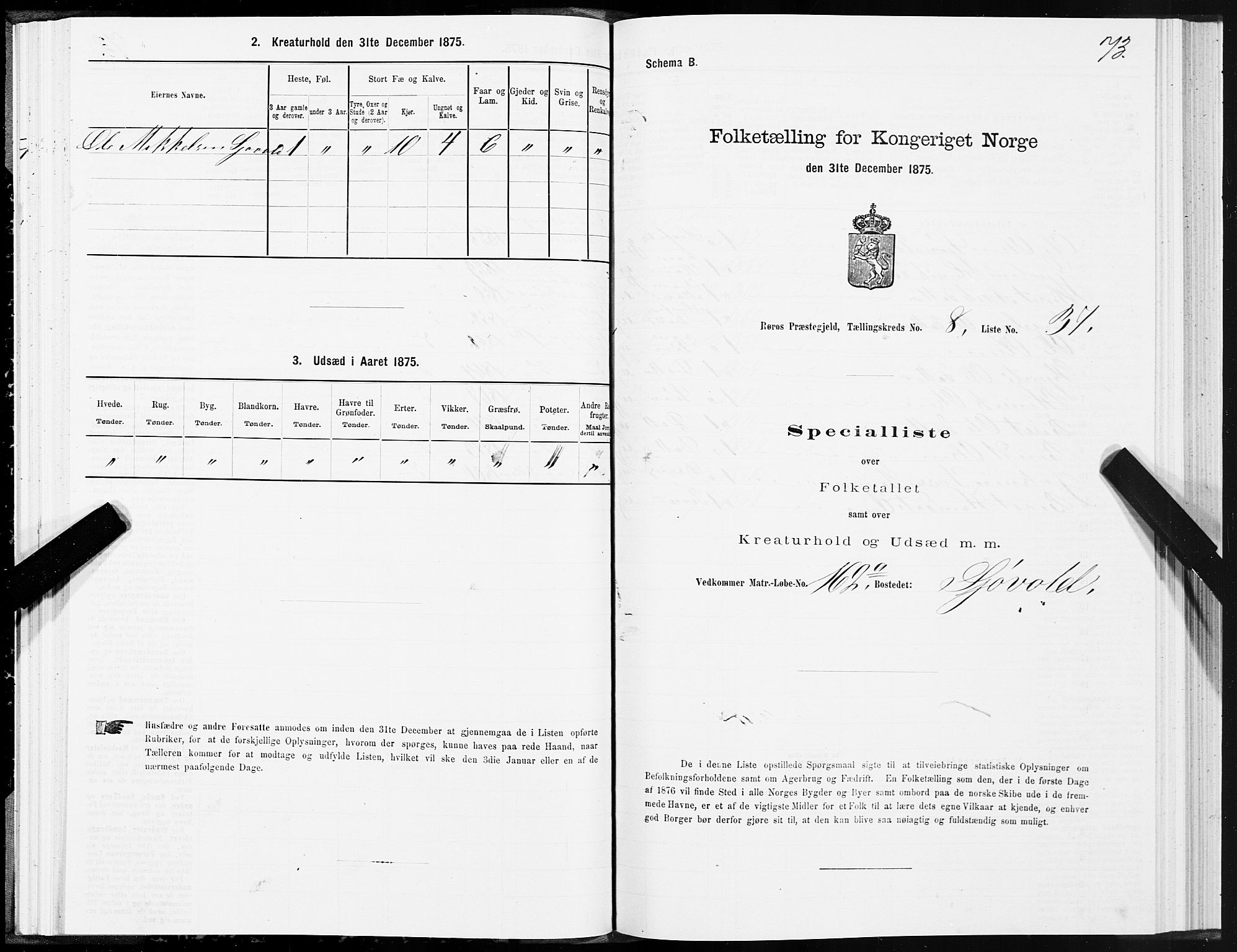 SAT, 1875 census for 1640P Røros, 1875, p. 5073