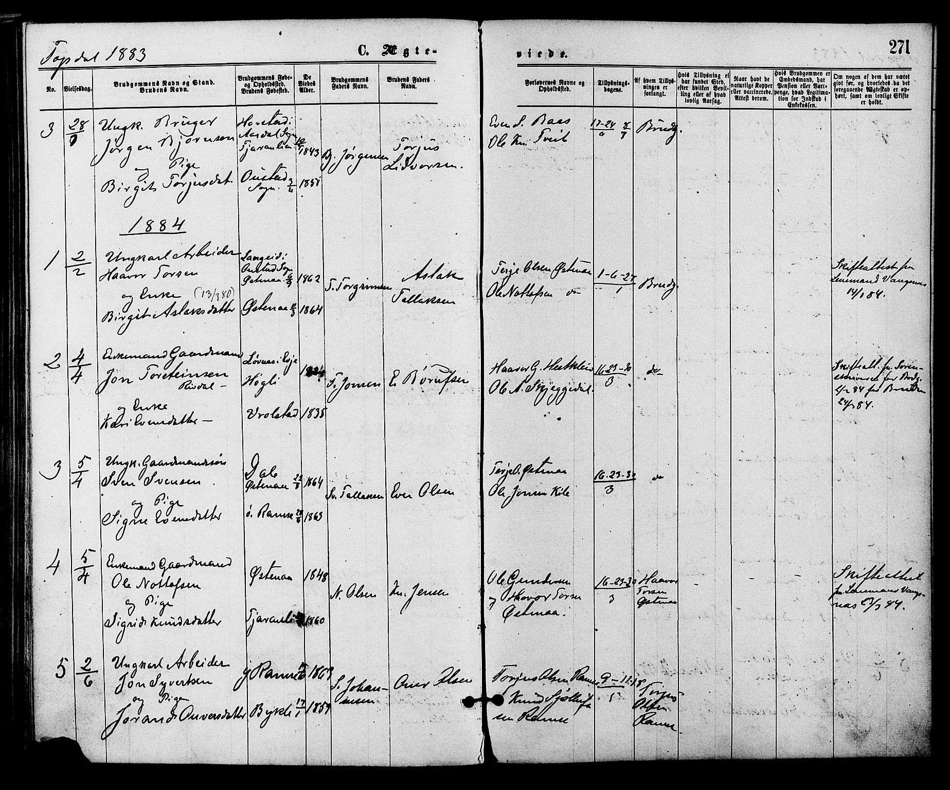 Åmli sokneprestkontor, AV/SAK-1111-0050/F/Fa/Fac/L0009: Parish register (official) no. A 9 /3, 1869-1884, p. 271