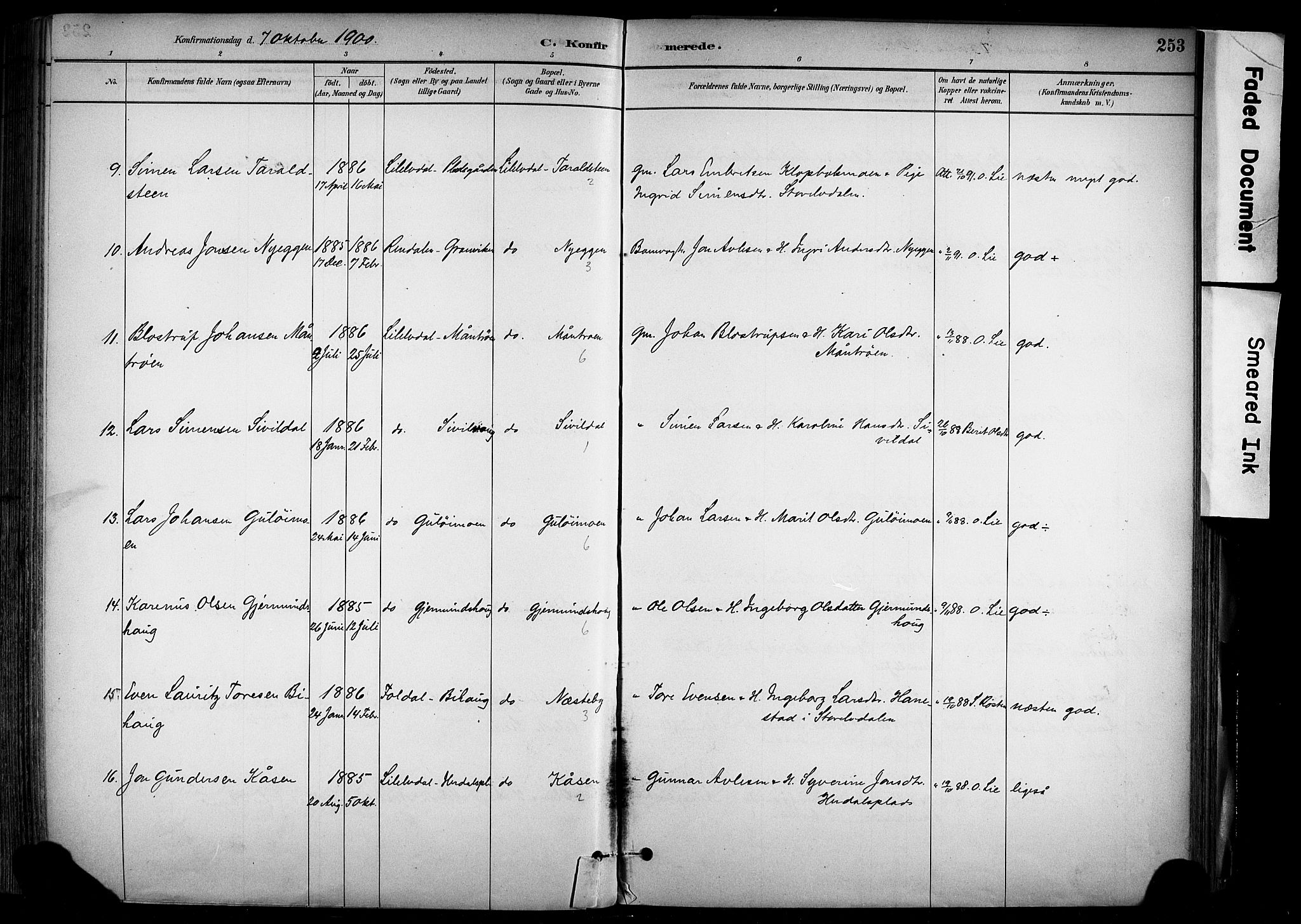 Alvdal prestekontor, AV/SAH-PREST-060/H/Ha/Haa/L0002: Parish register (official) no. 2, 1883-1906, p. 253