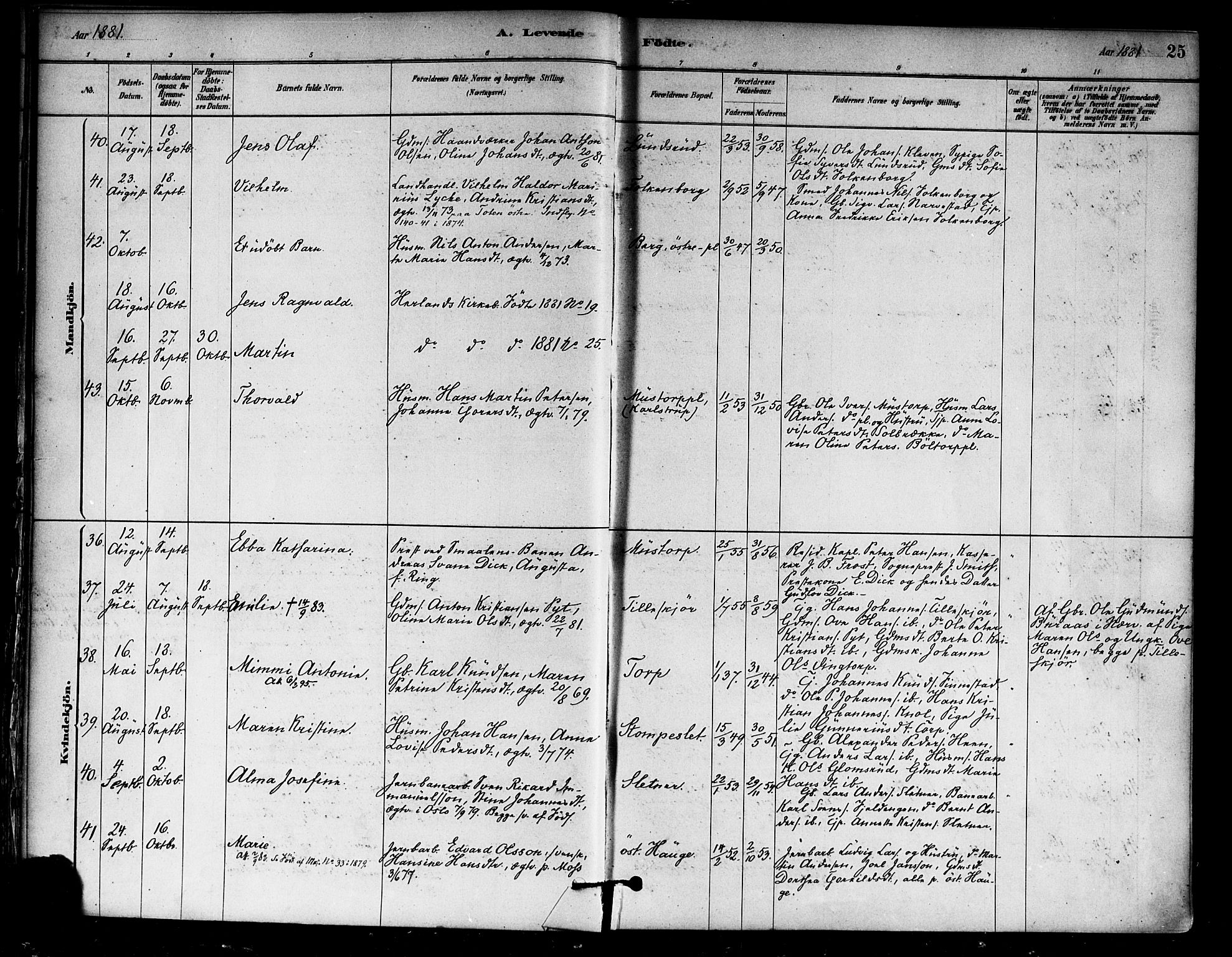 Eidsberg prestekontor Kirkebøker, AV/SAO-A-10905/F/Fa/L0012: Parish register (official) no. I 12, 1879-1901, p. 25