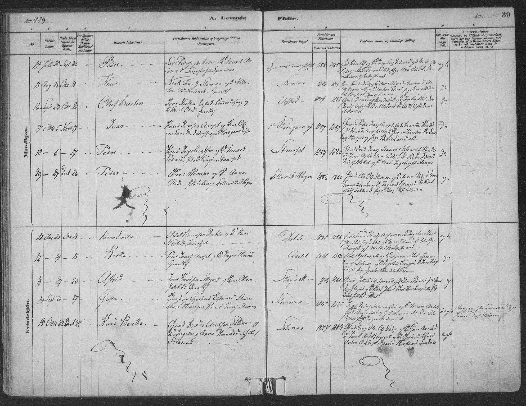 Ministerialprotokoller, klokkerbøker og fødselsregistre - Møre og Romsdal, AV/SAT-A-1454/547/L0604: Parish register (official) no. 547A06, 1878-1906, p. 39