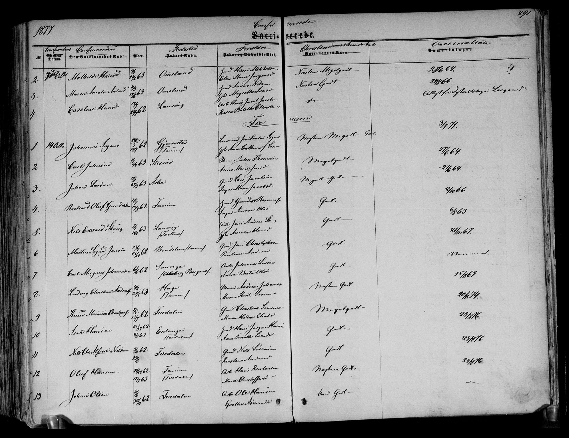 Brunlanes kirkebøker, AV/SAKO-A-342/F/Fa/L0005: Parish register (official) no. I 5, 1862-1877, p. 491