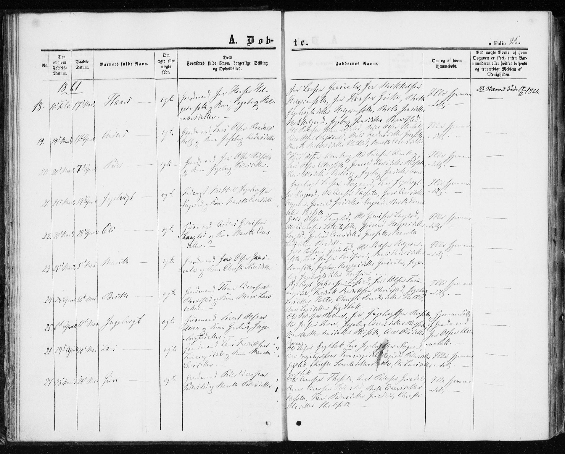 Ministerialprotokoller, klokkerbøker og fødselsregistre - Møre og Romsdal, SAT/A-1454/598/L1067: Parish register (official) no. 598A01, 1858-1871, p. 25