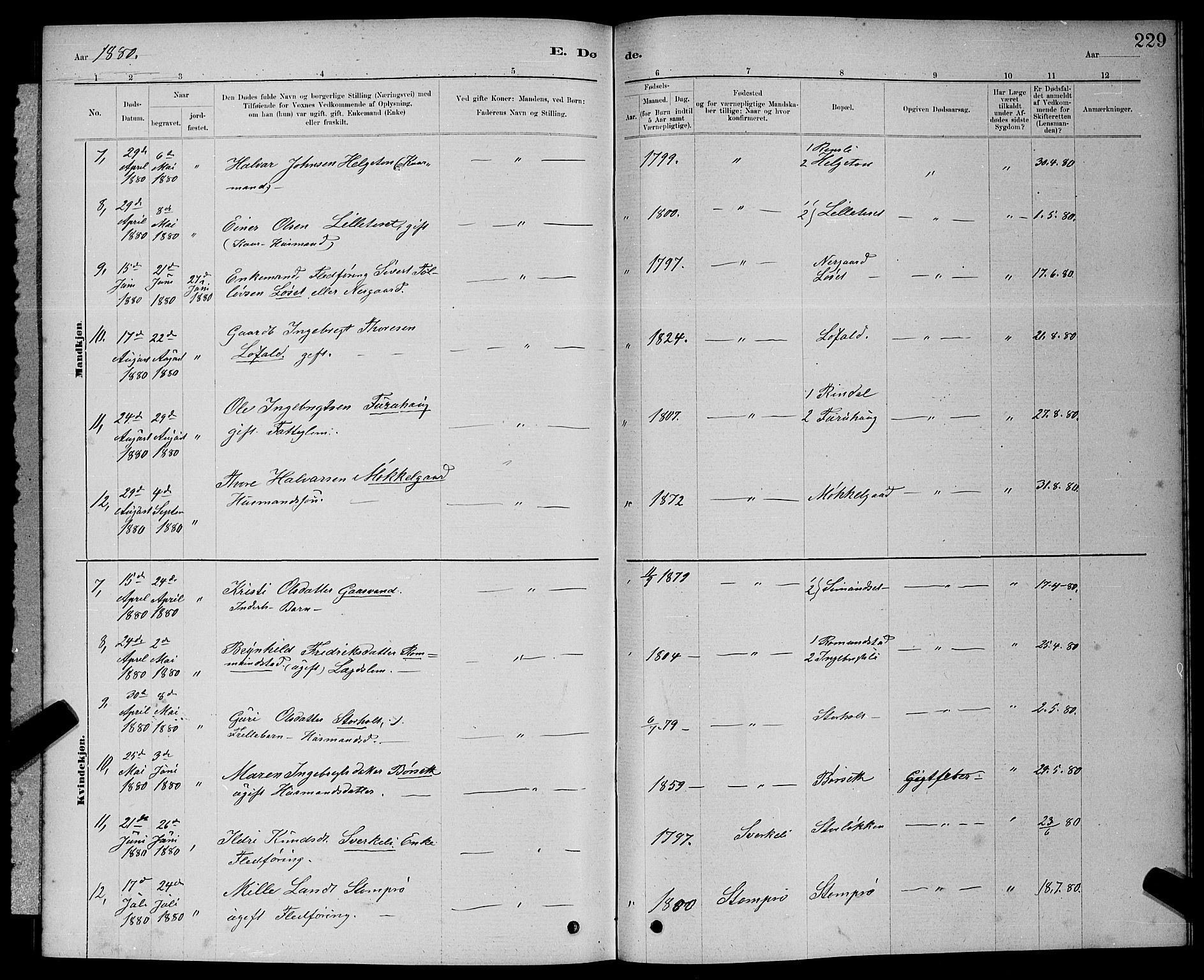 Ministerialprotokoller, klokkerbøker og fødselsregistre - Møre og Romsdal, AV/SAT-A-1454/598/L1077: Parish register (copy) no. 598C02, 1879-1891, p. 229