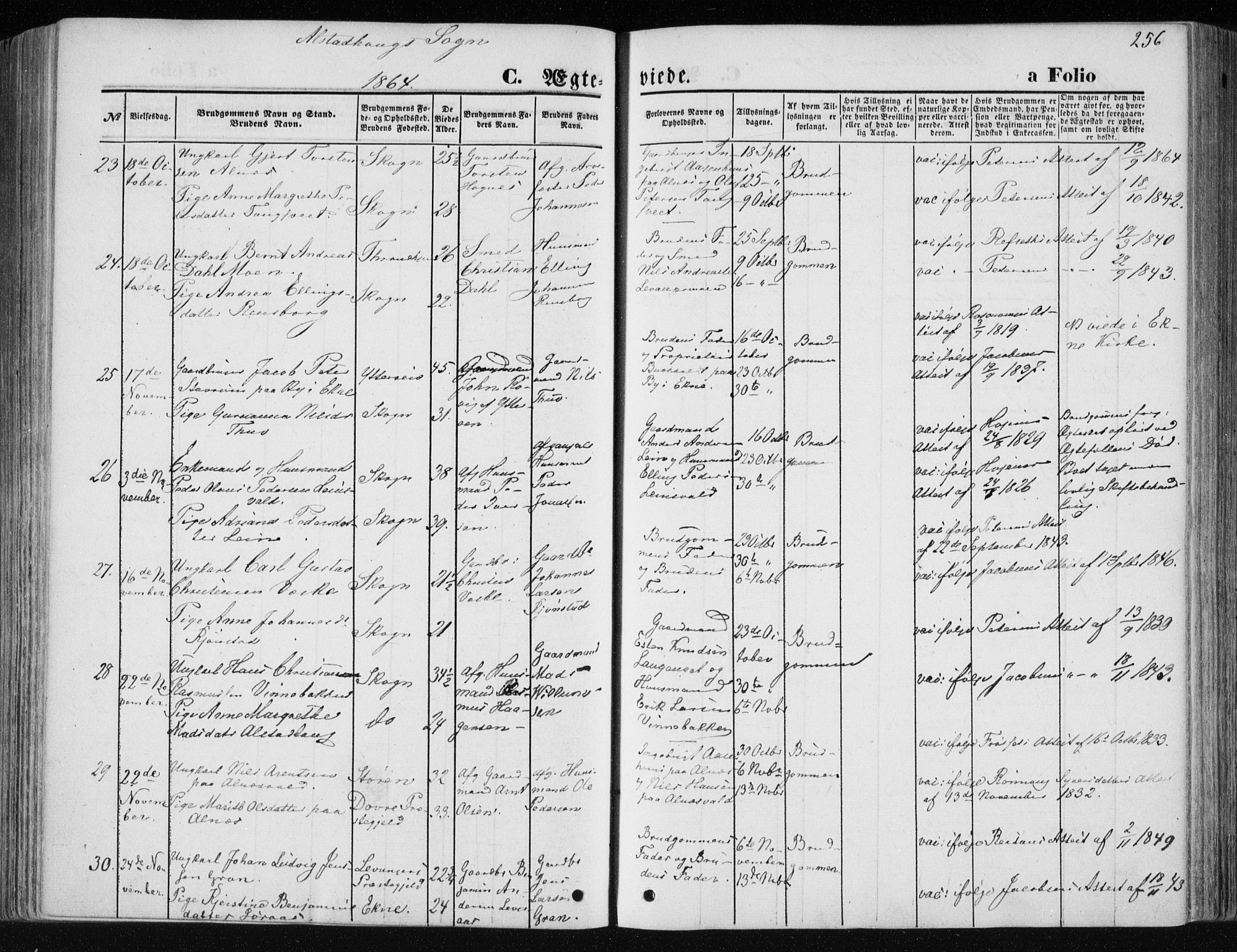 Ministerialprotokoller, klokkerbøker og fødselsregistre - Nord-Trøndelag, SAT/A-1458/717/L0157: Parish register (official) no. 717A08 /1, 1863-1877, p. 256