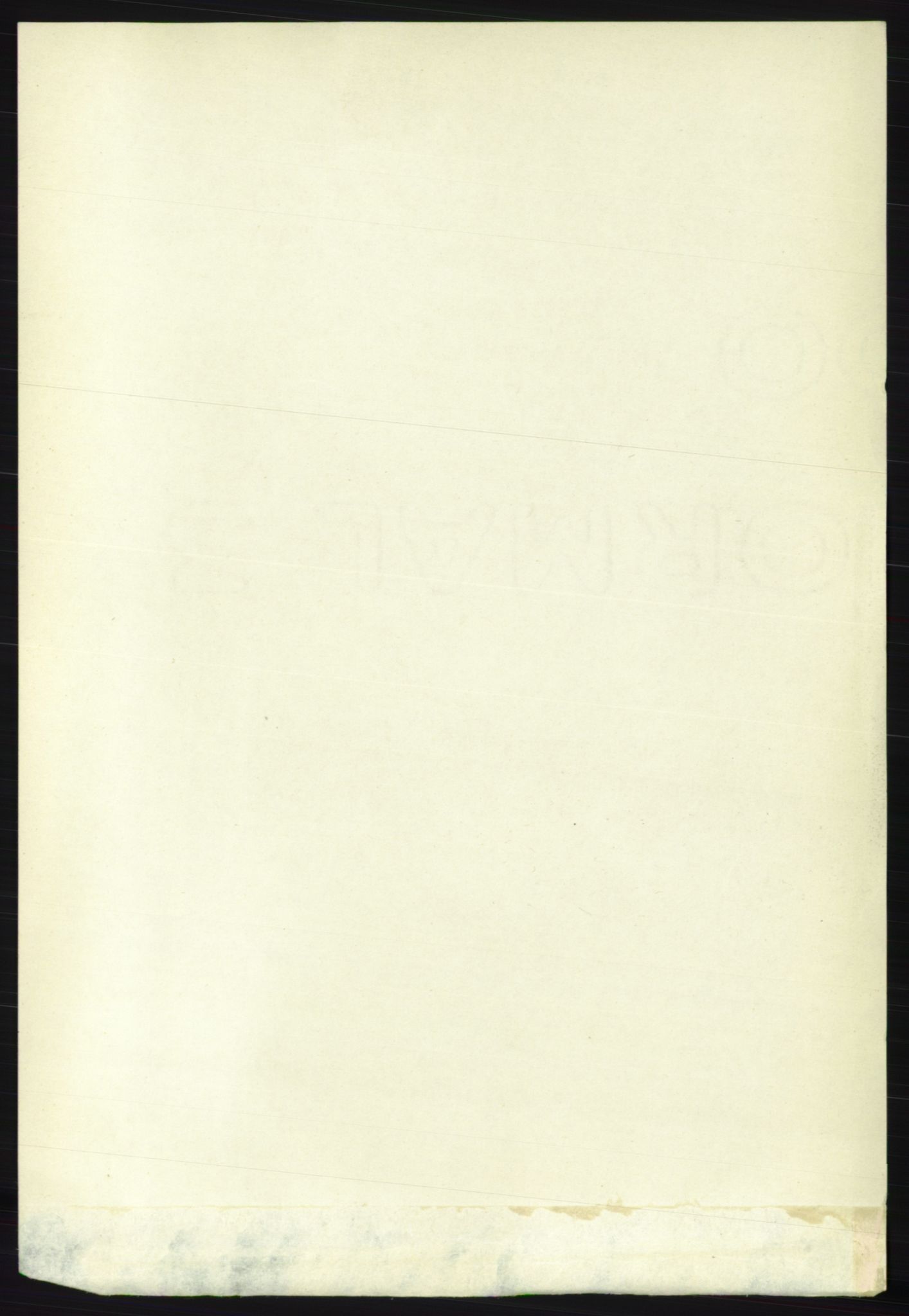 RA, 1891 census for 1828 Nesna, 1891, p. 3217